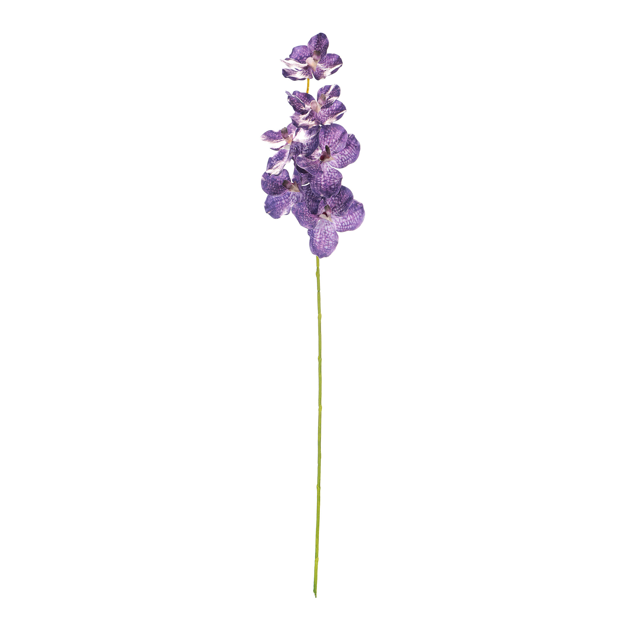 Орхидея фиолетовая Конэко-о высота 100 /40+60/ см орхидея фиолетовая конэко о высота 100 40 60 см