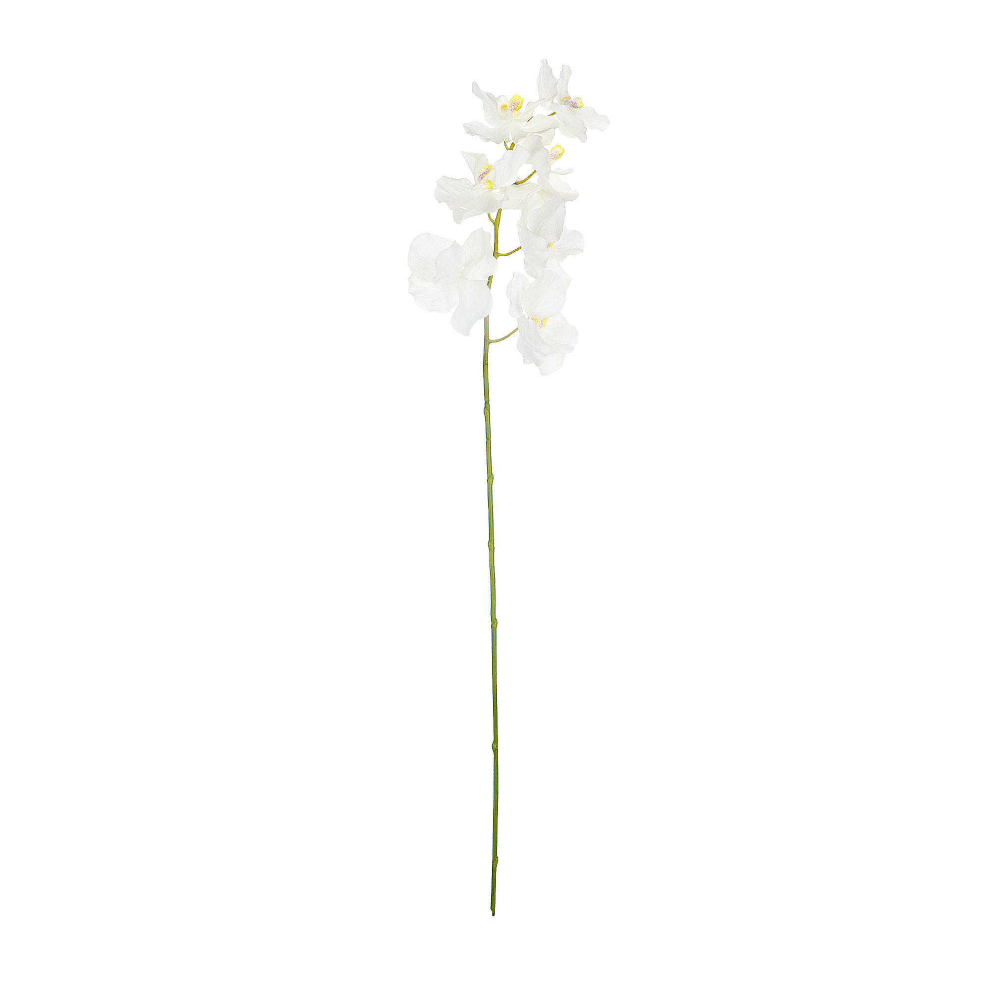 Орхидея белого цвета Конэко-о высота 100 /40+60/ см папоротник зеленого цвета высота 40 см конэко о