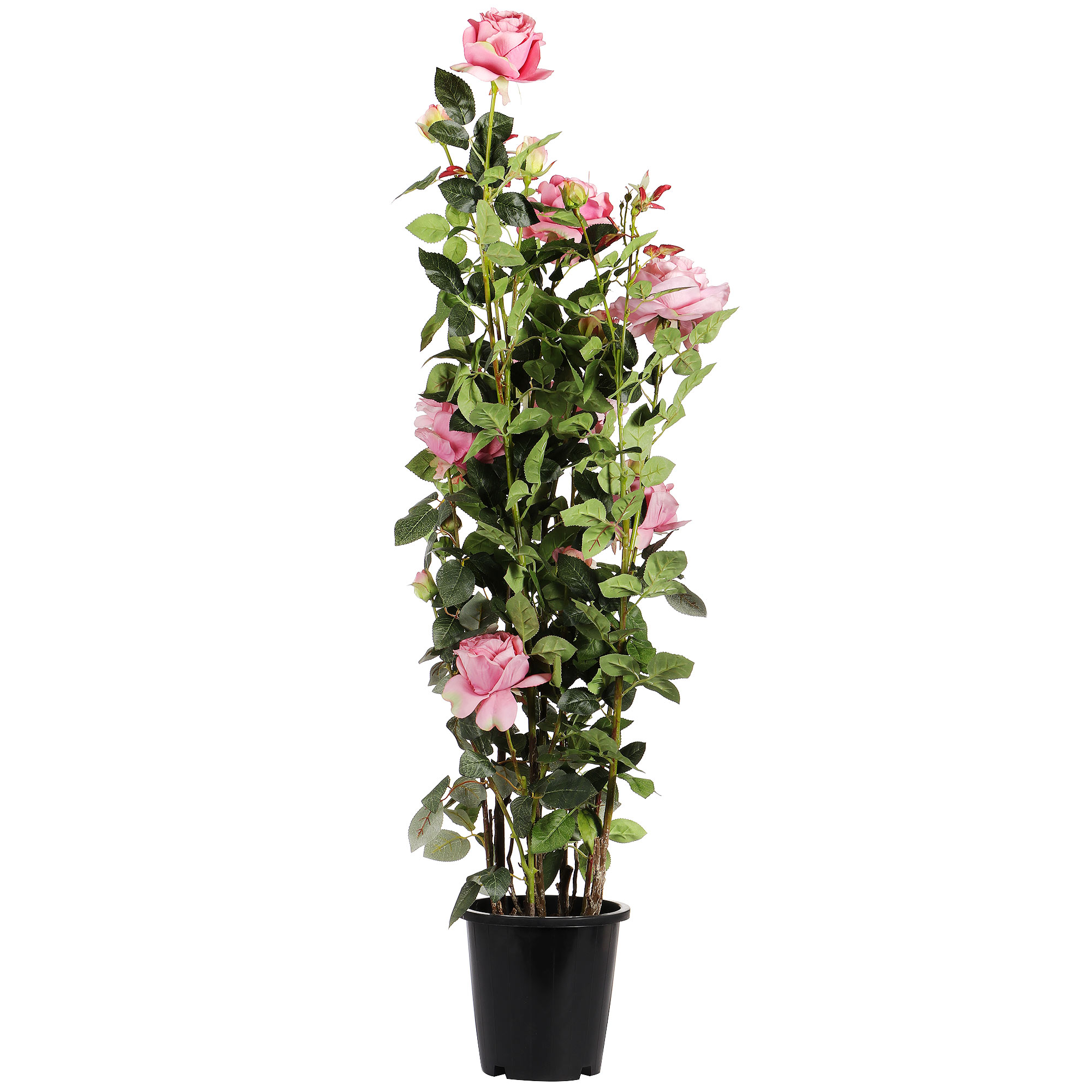 цена Искусственное растение Tianjin бледно-розовая роза в кашпо 137 см