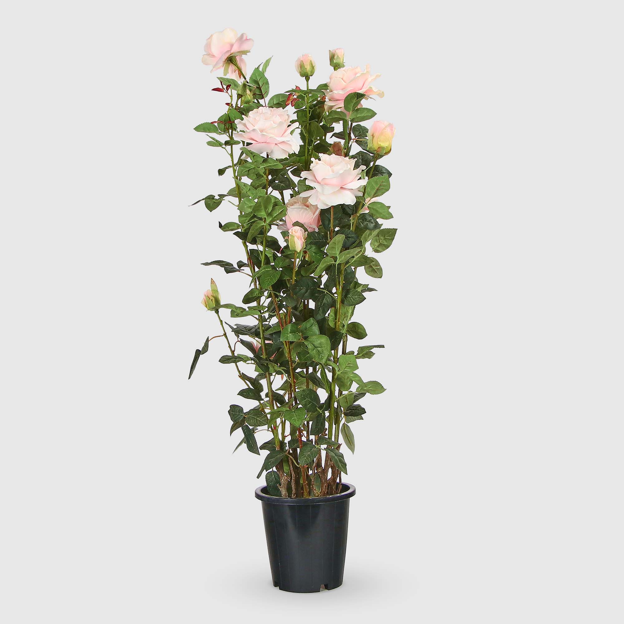 Роза Tianjin в кашпо кремово-розовая искусственная, 137 см
