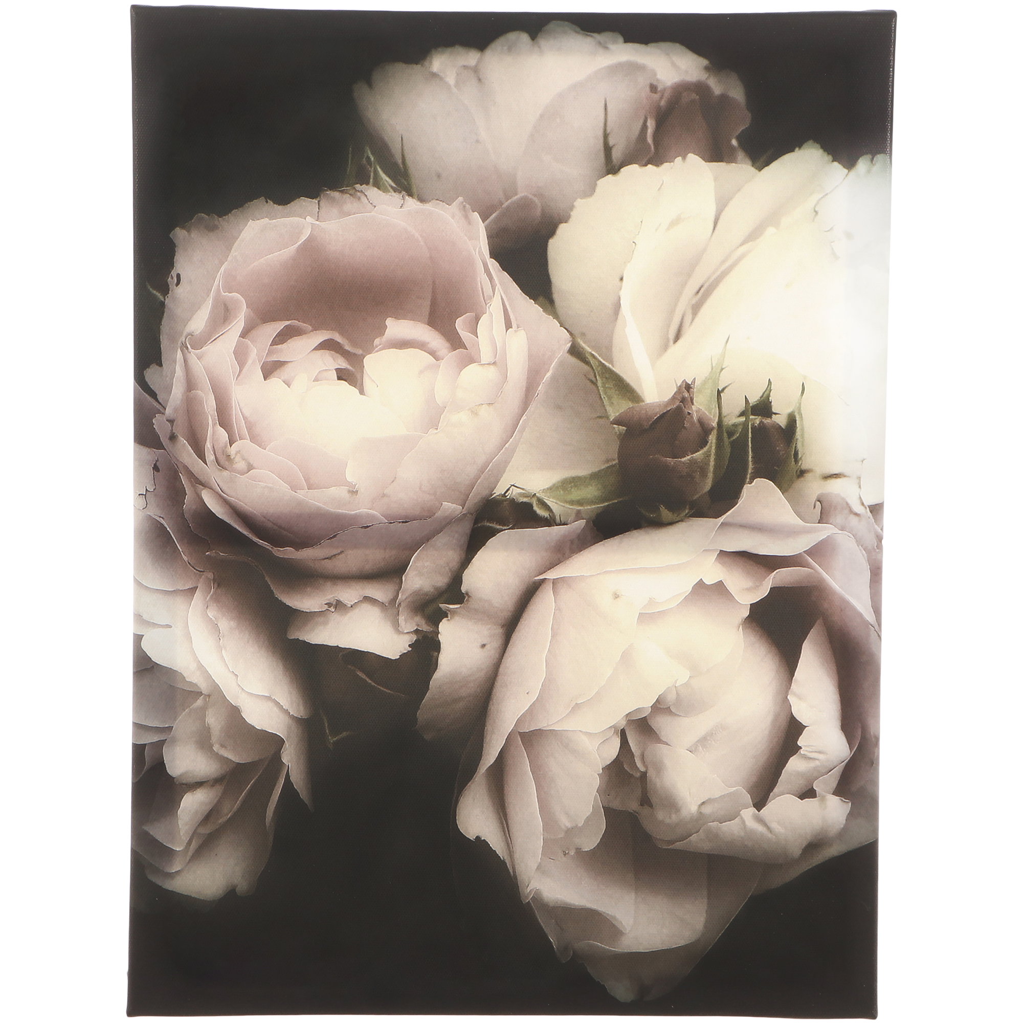 Картина Intco Цветы канвас, 30х40 см картина в раме цветы магнолии 30х40 см