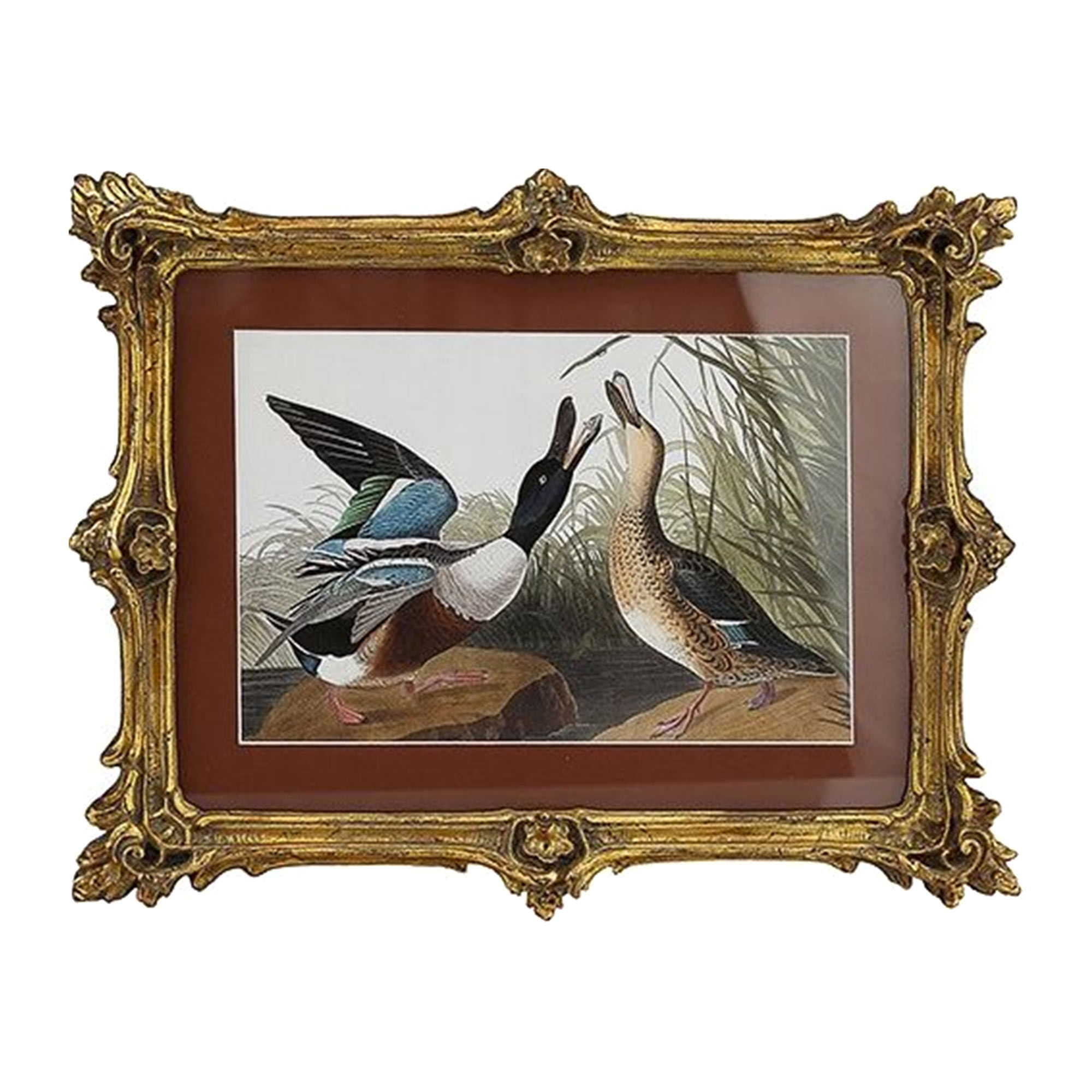 Картина Glasar в прямоугольной раме две птицы машут крыльями, 39x3x31 см картина glasar в овальной позолоченной раме птица 23x2x28 см