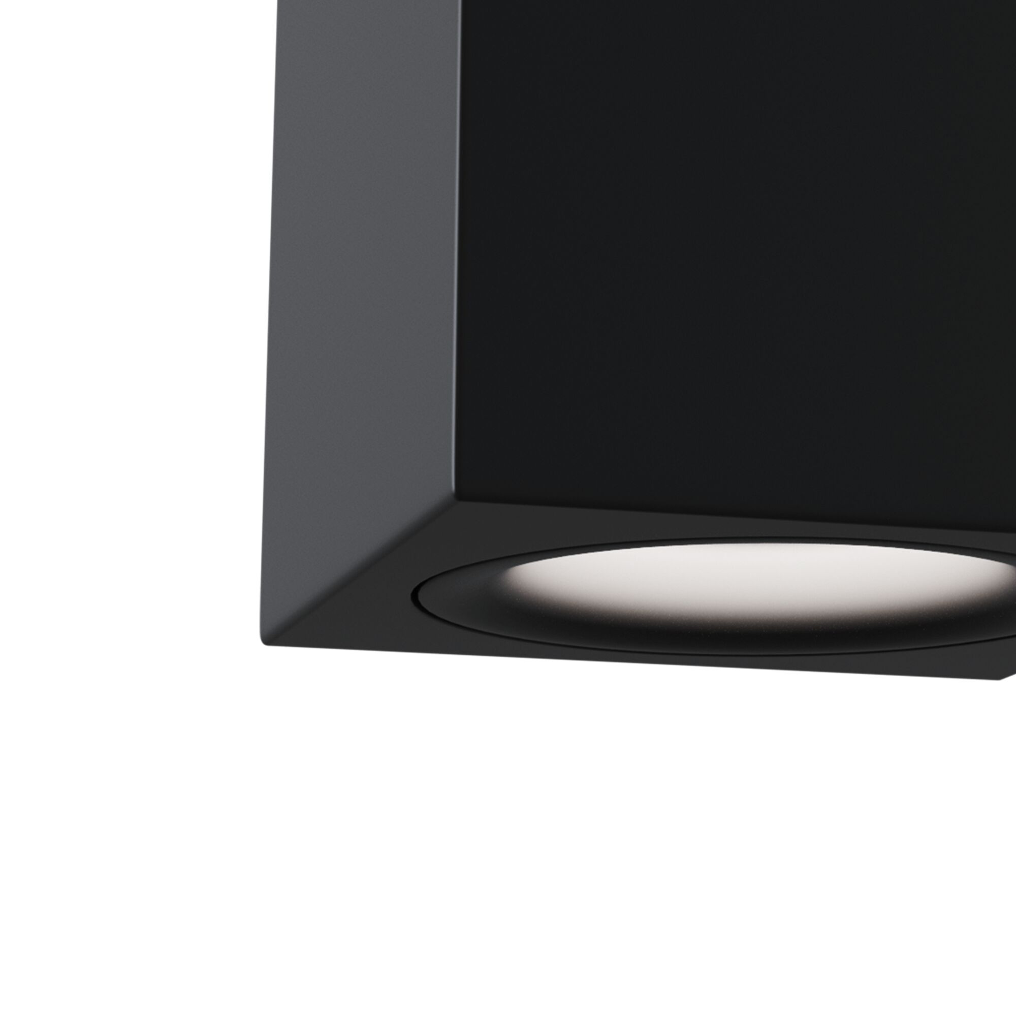 Потолочный светильник Maytoni Alfa C013CL-01B, цвет черный - фото 2