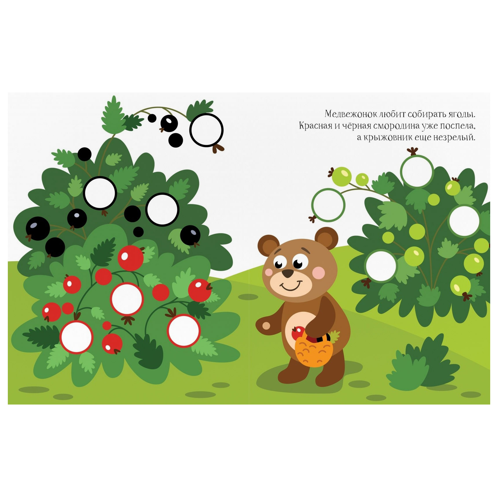 Игры собираем ягоды. Занятие медведь для малышей. Медведь задания для детей. Мишка задания для детей. Развивающие занятия медведь для детей.