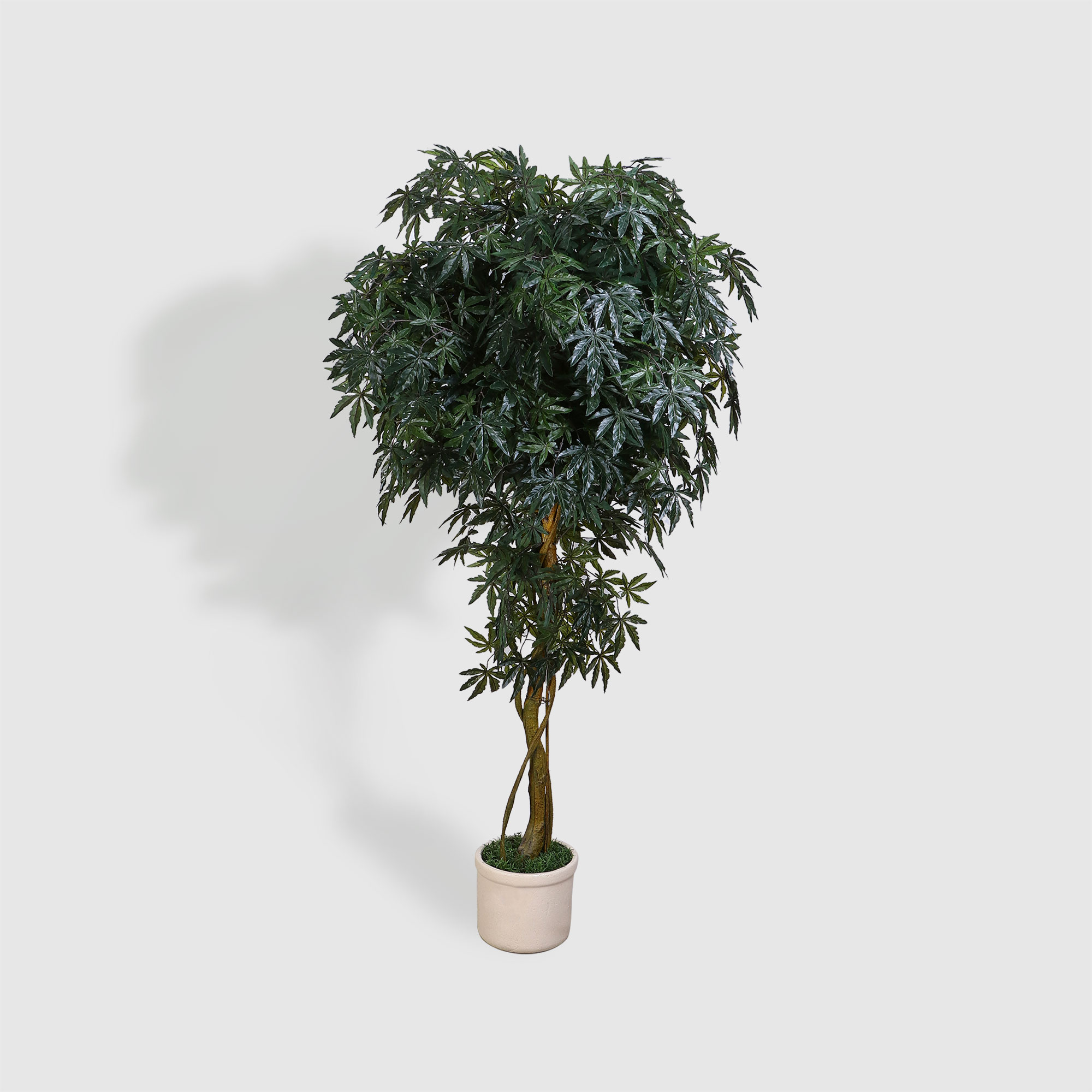 Дерево Конэко-О искусственное зеленое с толстым стеблем искусственное дерево kentia зеленое
