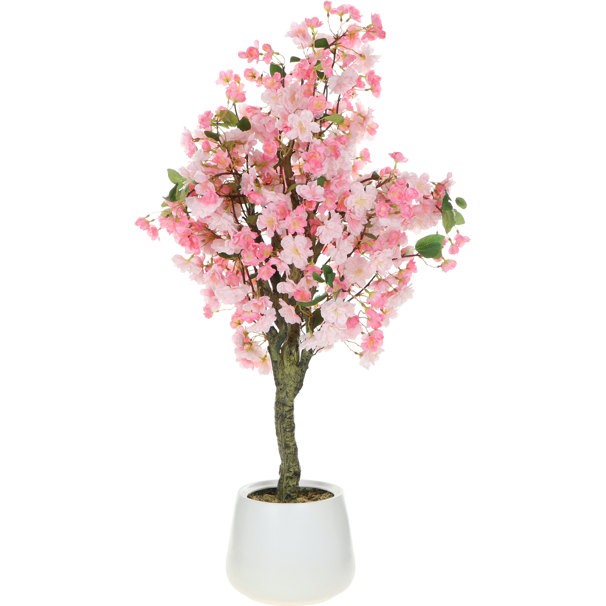Композиция цветов в горшке Конэко-о Персик розовый персик посол мира