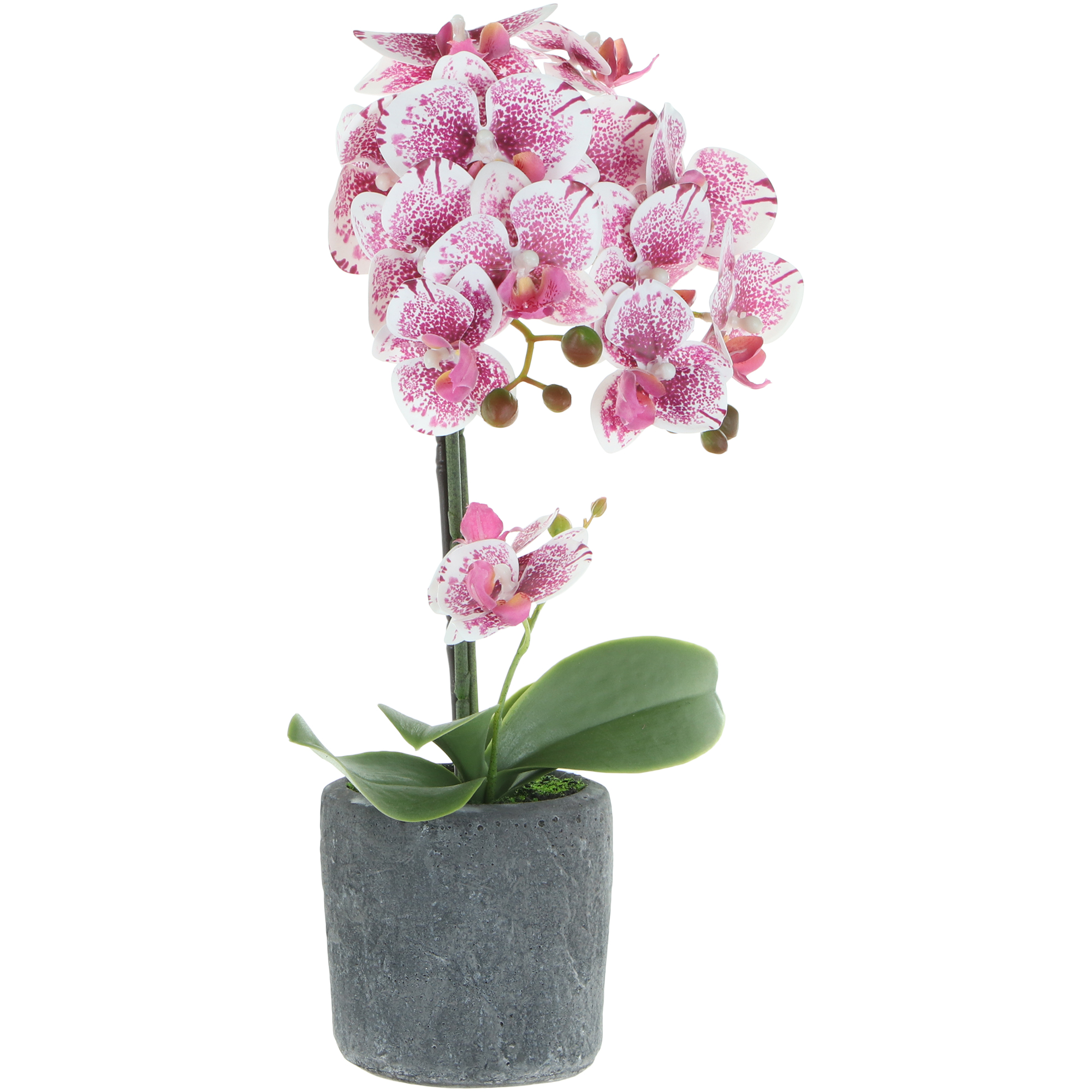Цветок искусственный в горшке Fuzhou Light орхидея бело-розовая, 3 цвета 42 см ок искусственный fuzhou light в горшке орхидея тигровая 62 см