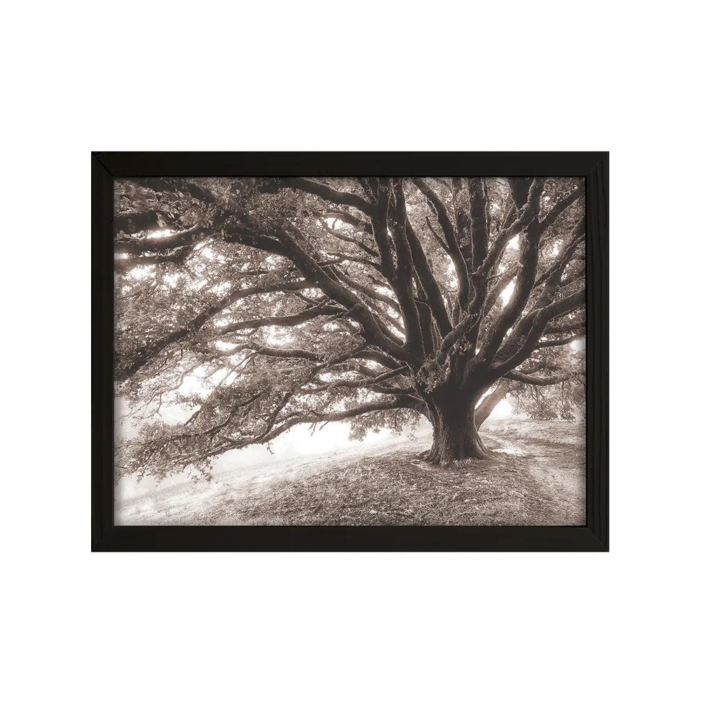 Постер Лакарт Дизайн Дерево ч/б в черной деревянной раме 30х40 см фоторамка дерево с20 30х40 см синяя