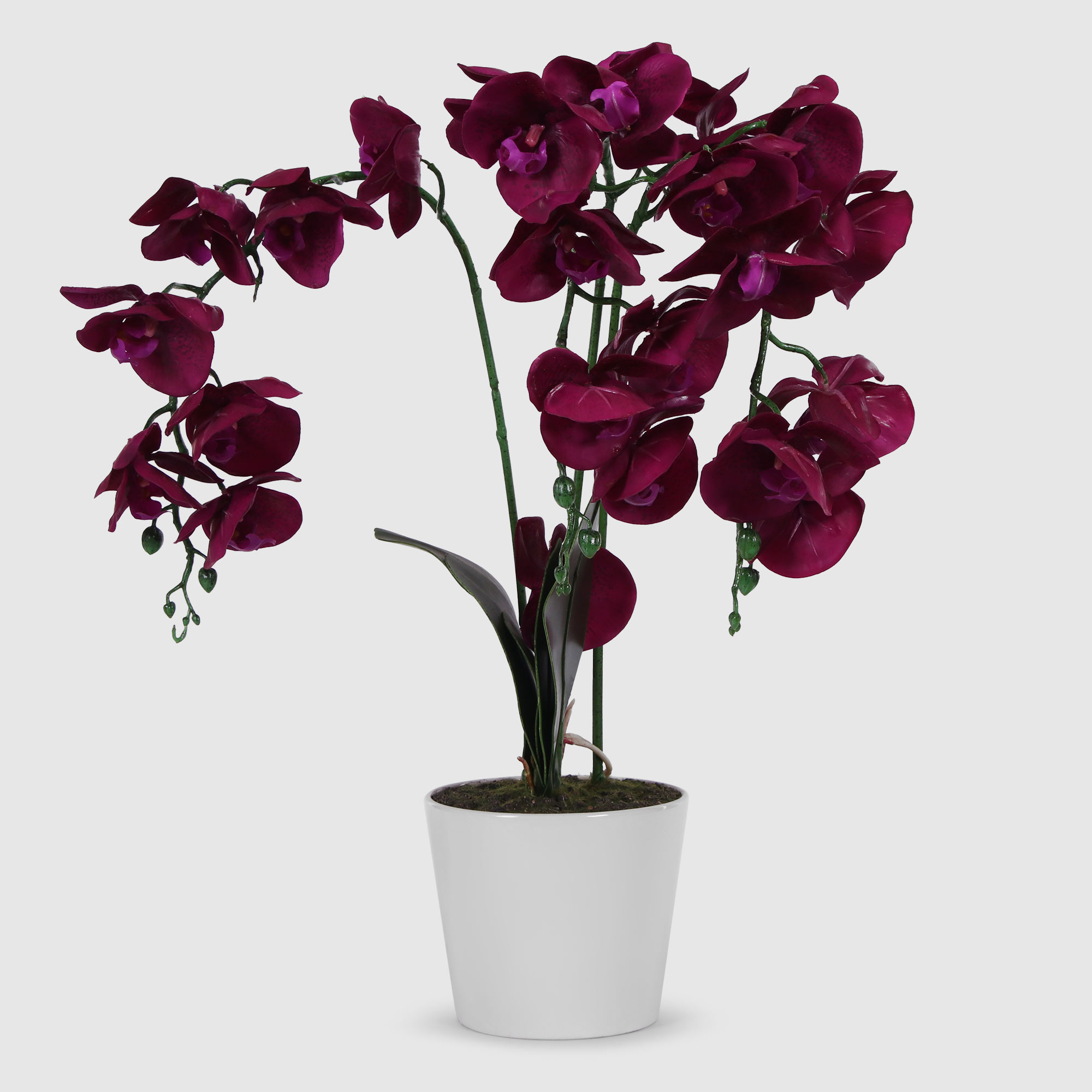цена Цветок искусственный в горшке Colorful орхидея 62 см фуксия