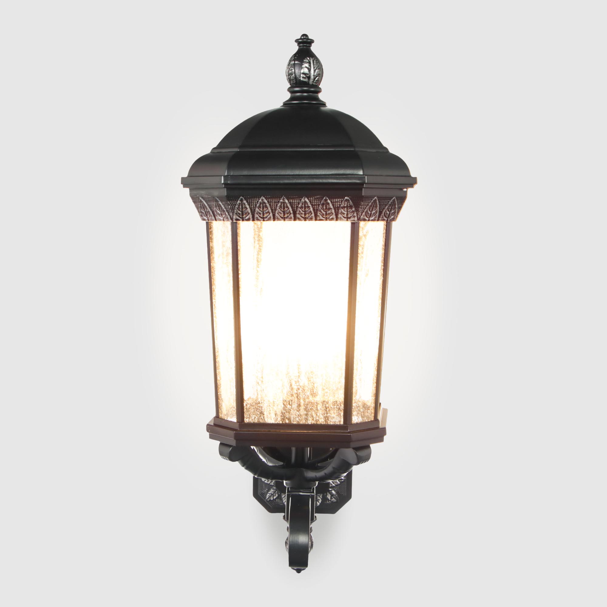 Садовый настенный светильник WENTAI чёрный (DH-1881LA/125/), цвет прозрачный - фото 2