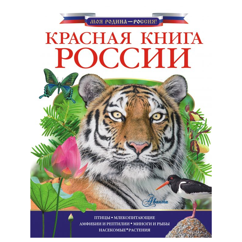 Красная Книга Купить В Спб