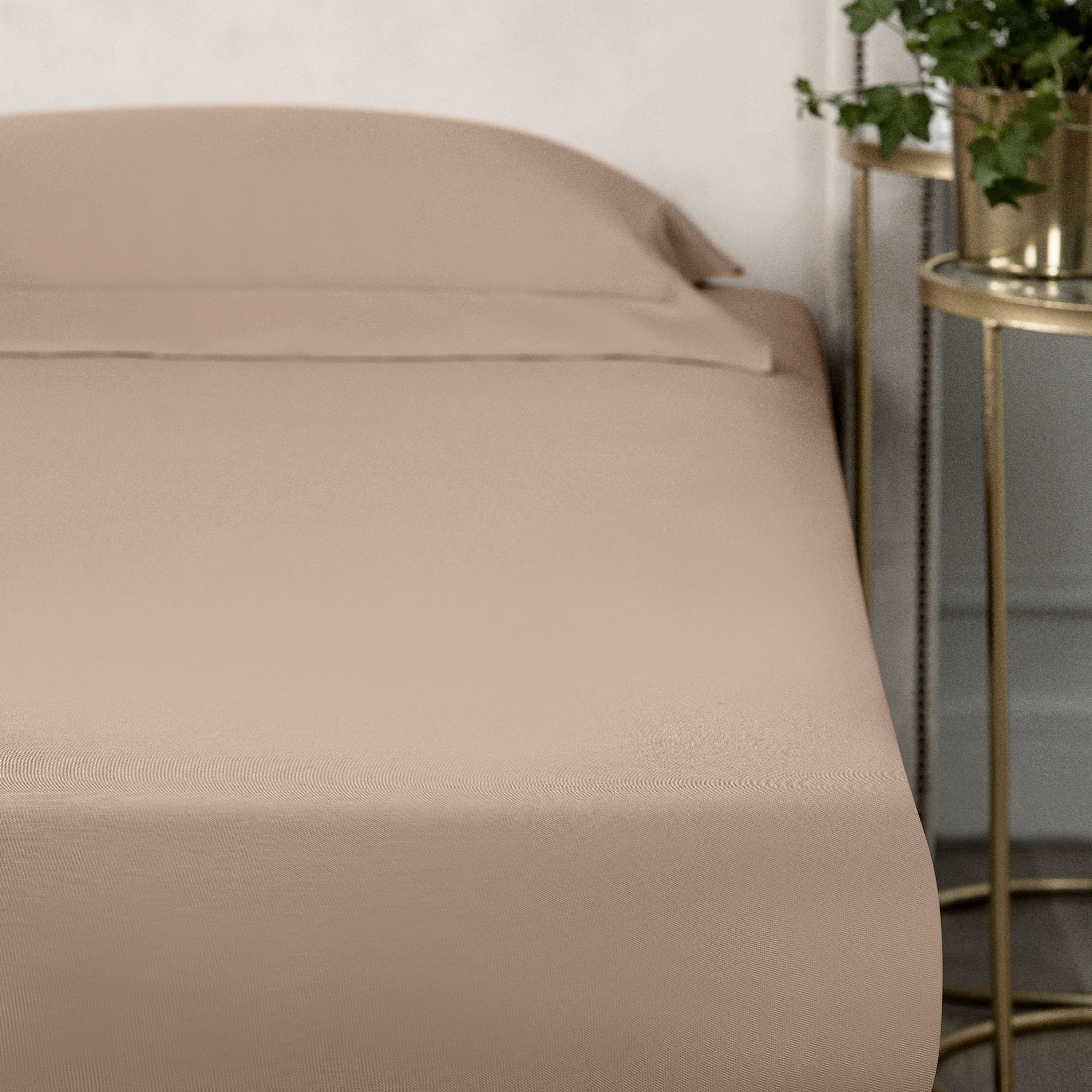 Простыня на резинке Togas Рапсодия бежевая 160х200 см