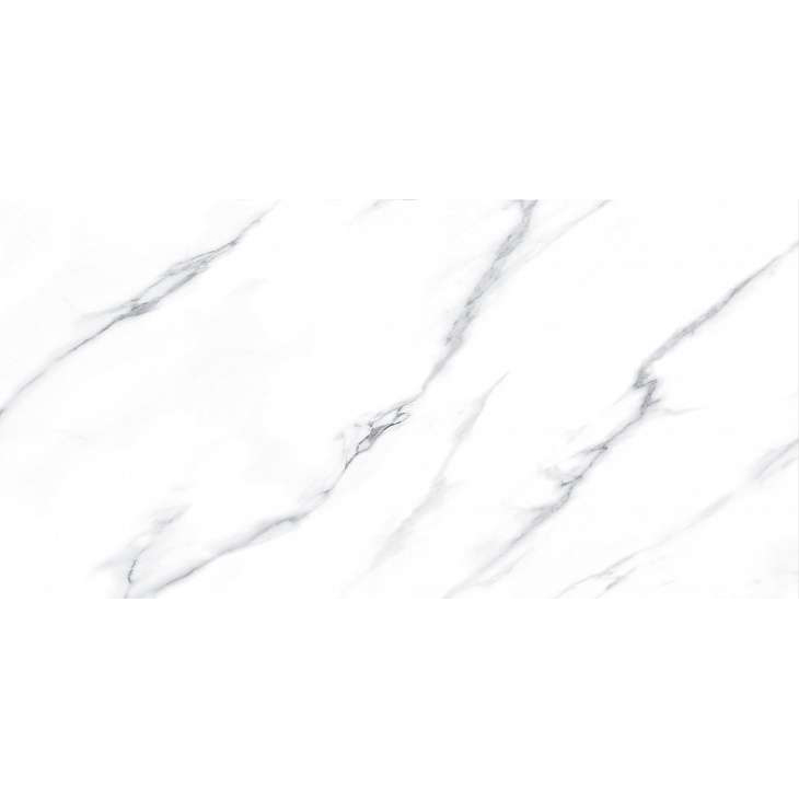 Плитка Fanal Pulido NPlus Carrara 60х120 см