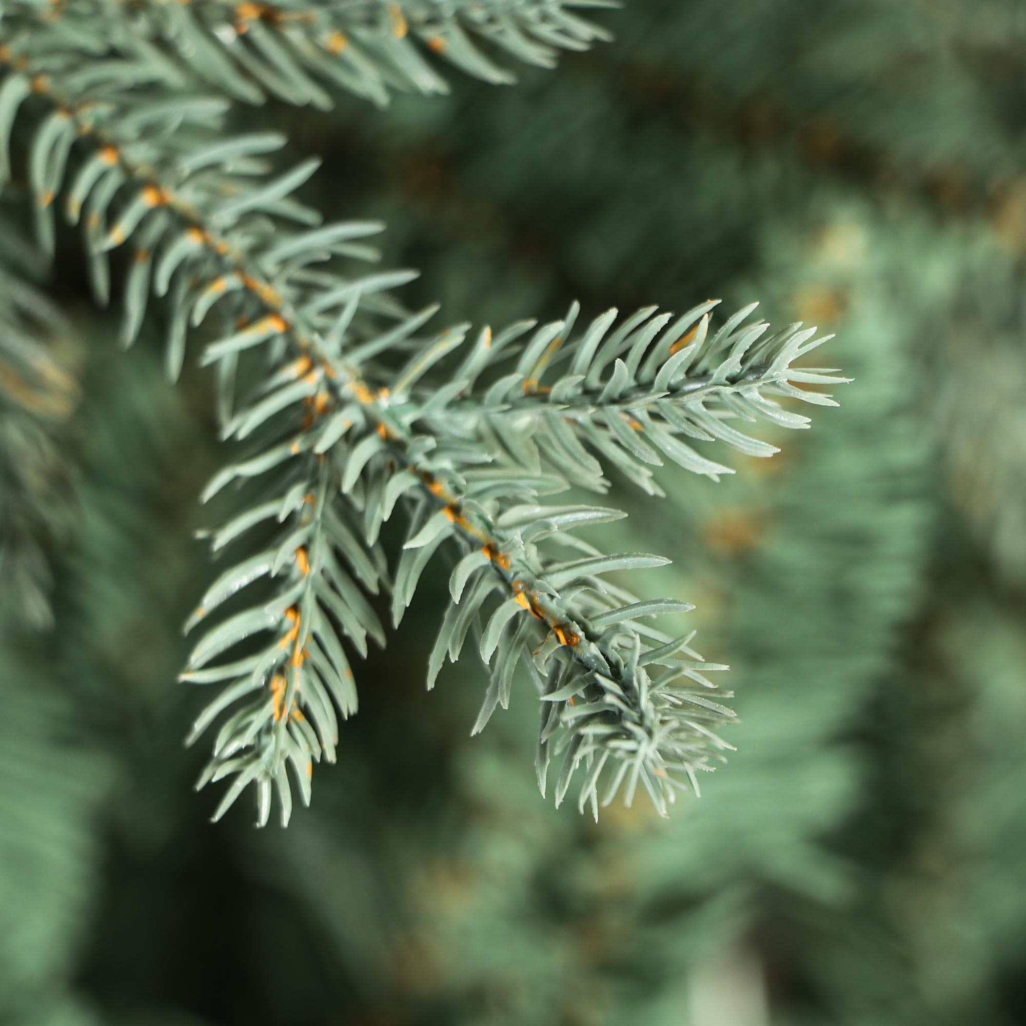 Ель новогодняя National Tree Buckingham blu spruce 225 см, цвет зеленый - фото 5