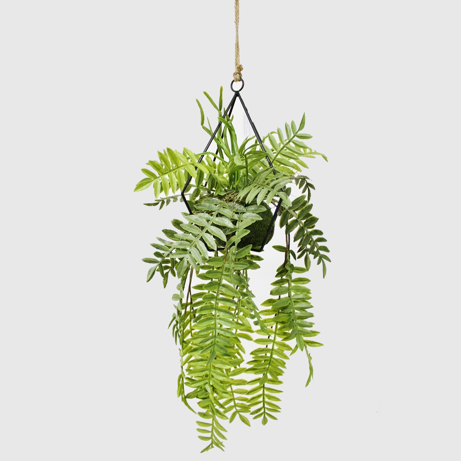 Искусственное растение Конэко-О Полиподиум ампельный в кашпо 80 см папоротник конэко о ампельный 150 см в подвесном кашпо