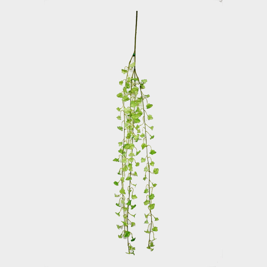 Плющ Конэко-О ампельный с мелким листом 90 см, цвет зеленый - фото 1