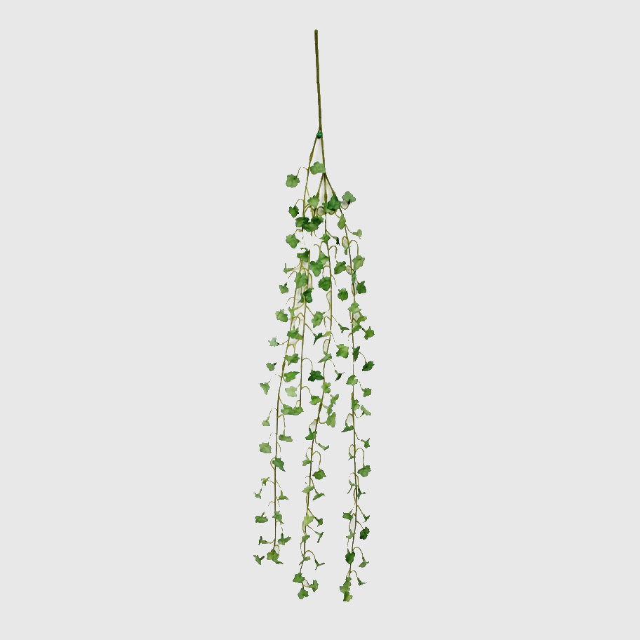 Плющ Конэко-О ампельный с мелким листом, высота 90 см, зеленый