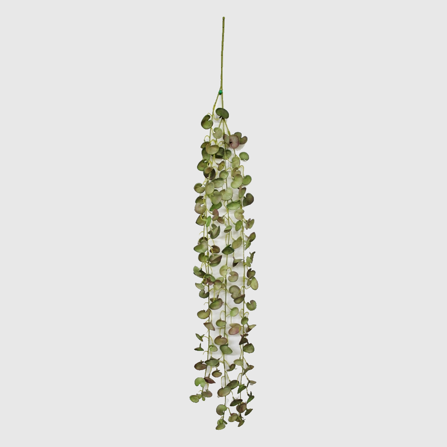 Церопегия Конэко-О ампельная, искусственная 90 см искусственное растение церопегия конэко о ампельная 90 см