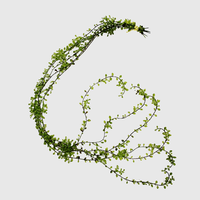 Лиана Конэко-О ампельная, суккулент, искусственная, 125 см, зеленая, 6 ветвей гирлянда конэко о с виноградными листьями ампельная искусственная 60 см ширина 25 см зеленая