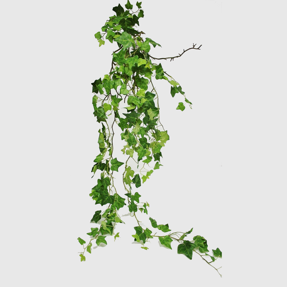 Лиана Конэко-О искусственная английский плющ, зеленая, длина 175 см, ширина 50 см