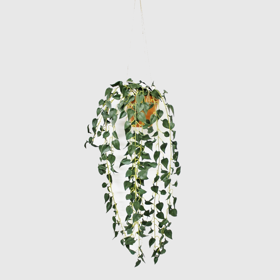 сциндапcус конэко о ампельный искусственный с листьями из латекса 90 см Сциндапcус Конэко-О ампельный 70 см, в кашпо 14х14х12 см темно-зеленый