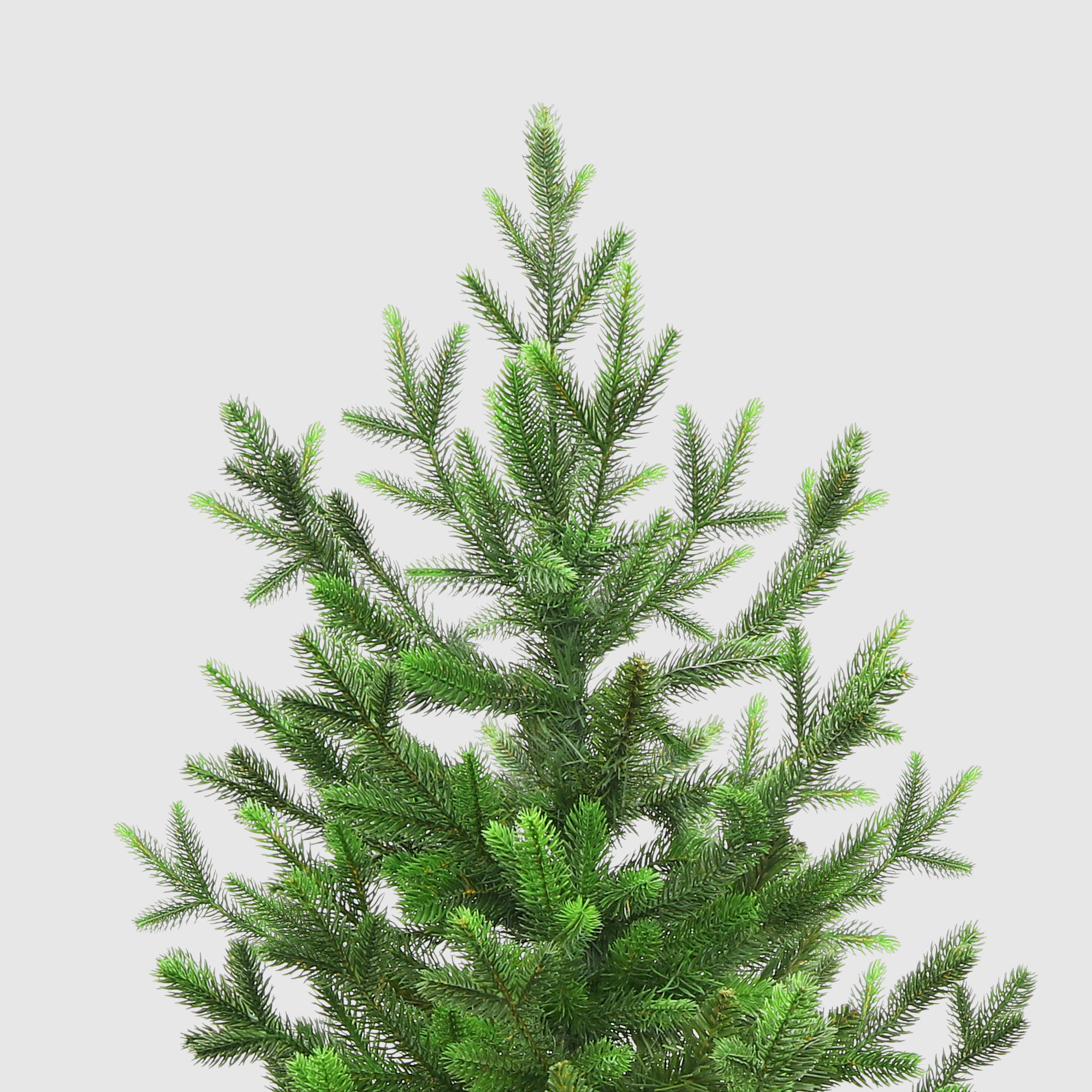 Ели peneri ель элегия 2. Царь елка элегия отзывы. Елка элегия пвх. 1 м. Елка элегия.