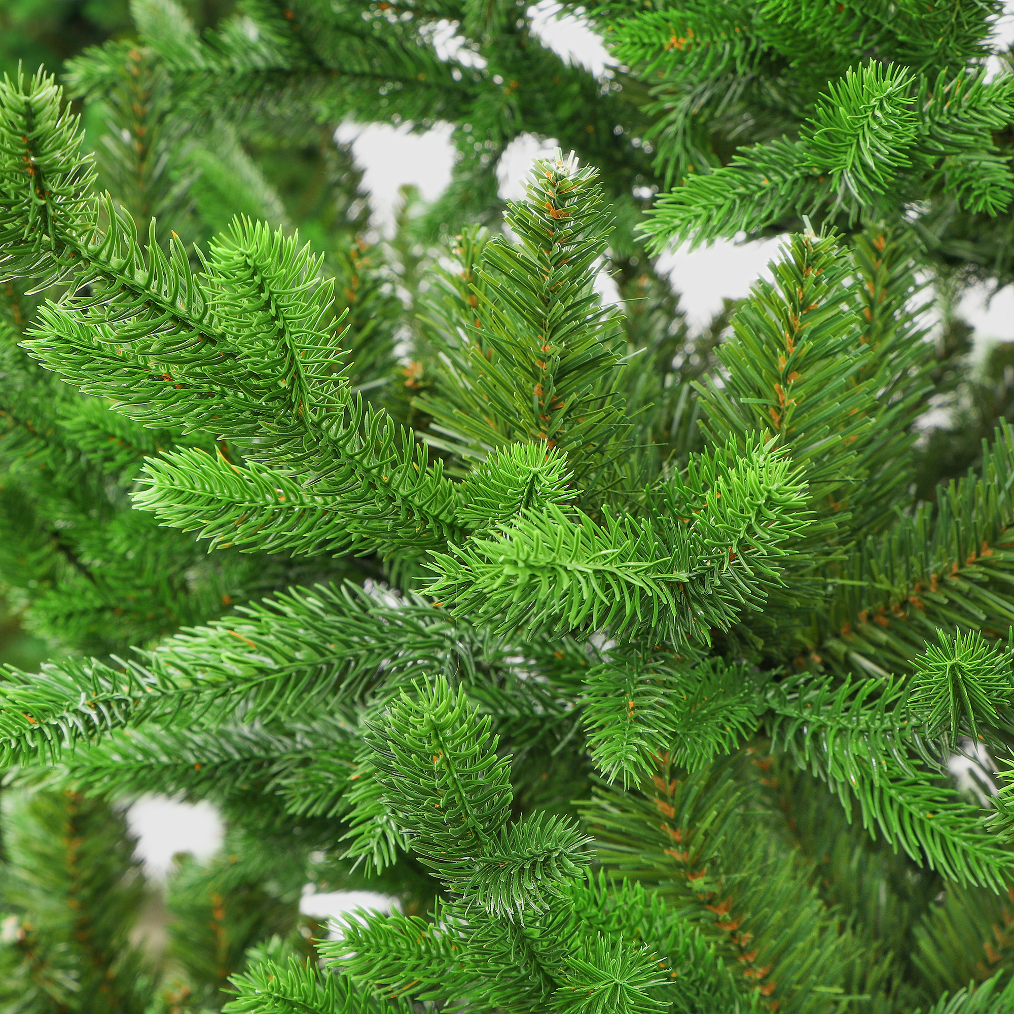 Царь елка ель вирджиния 1. Царь елка идеал 180. Царь елка идеал 210. Peneri дакота. 8 200led.