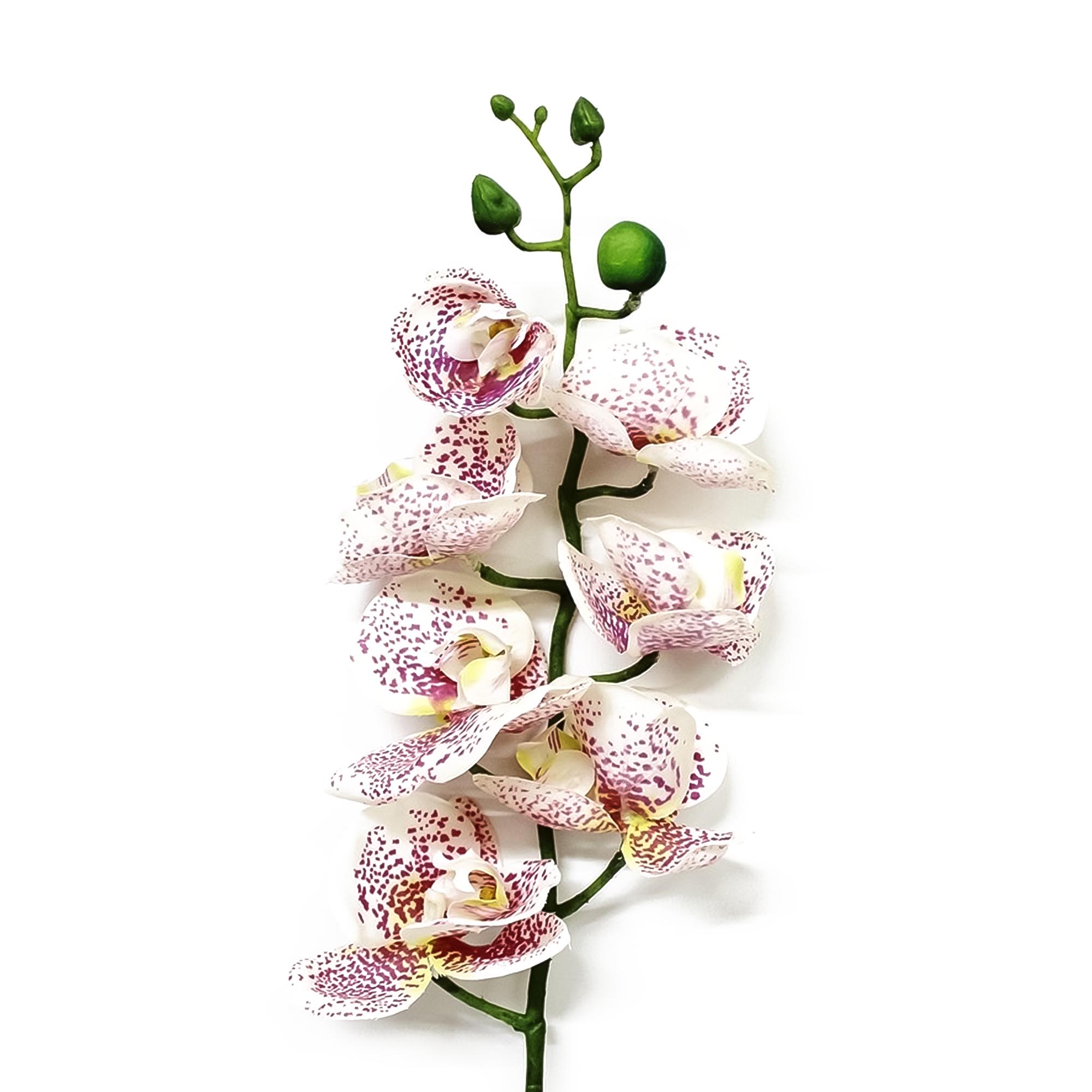 Орхидея фаленопсис Конэко-О 57621 76 см