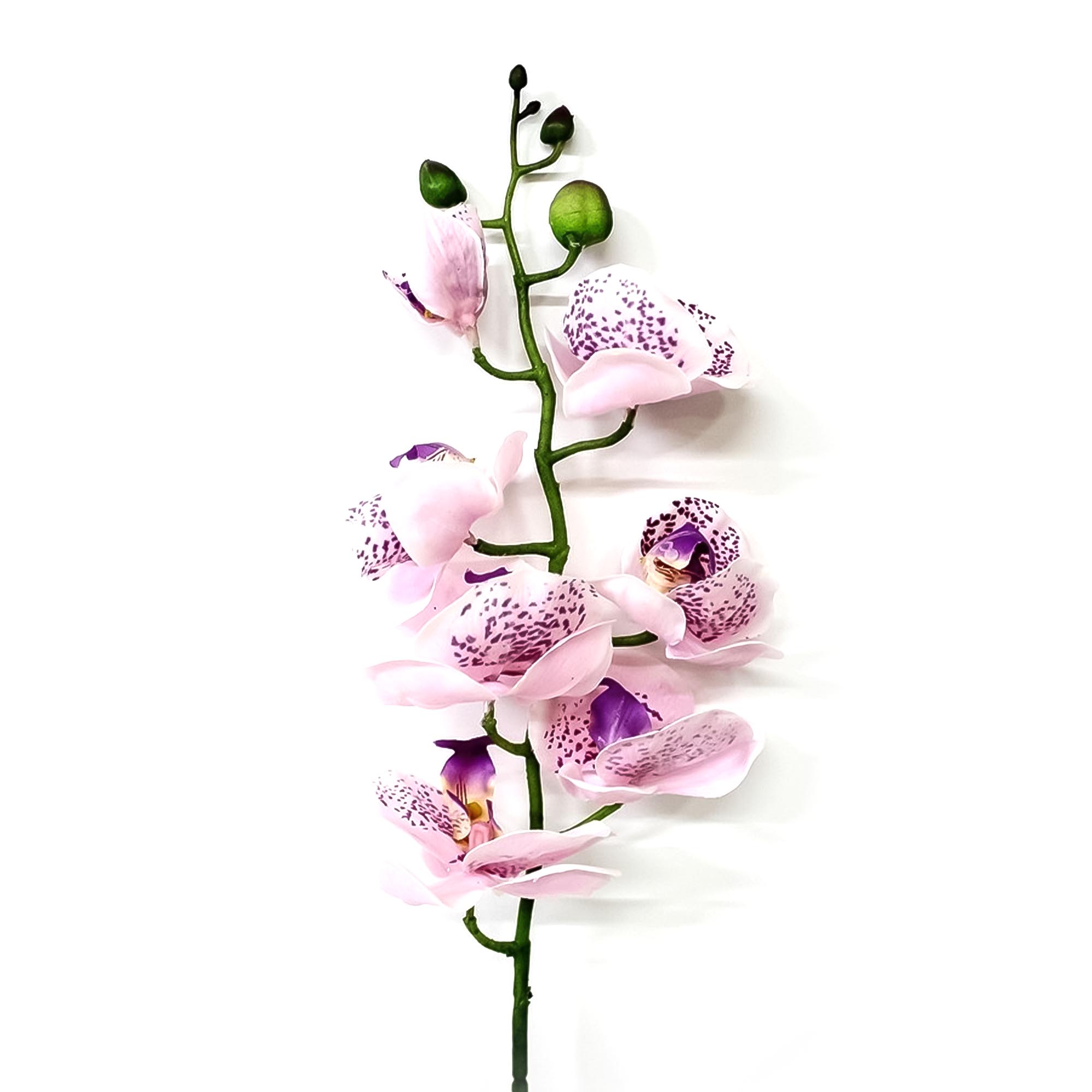 Орхидея фаленопсис Конэко-О 58021 76 см