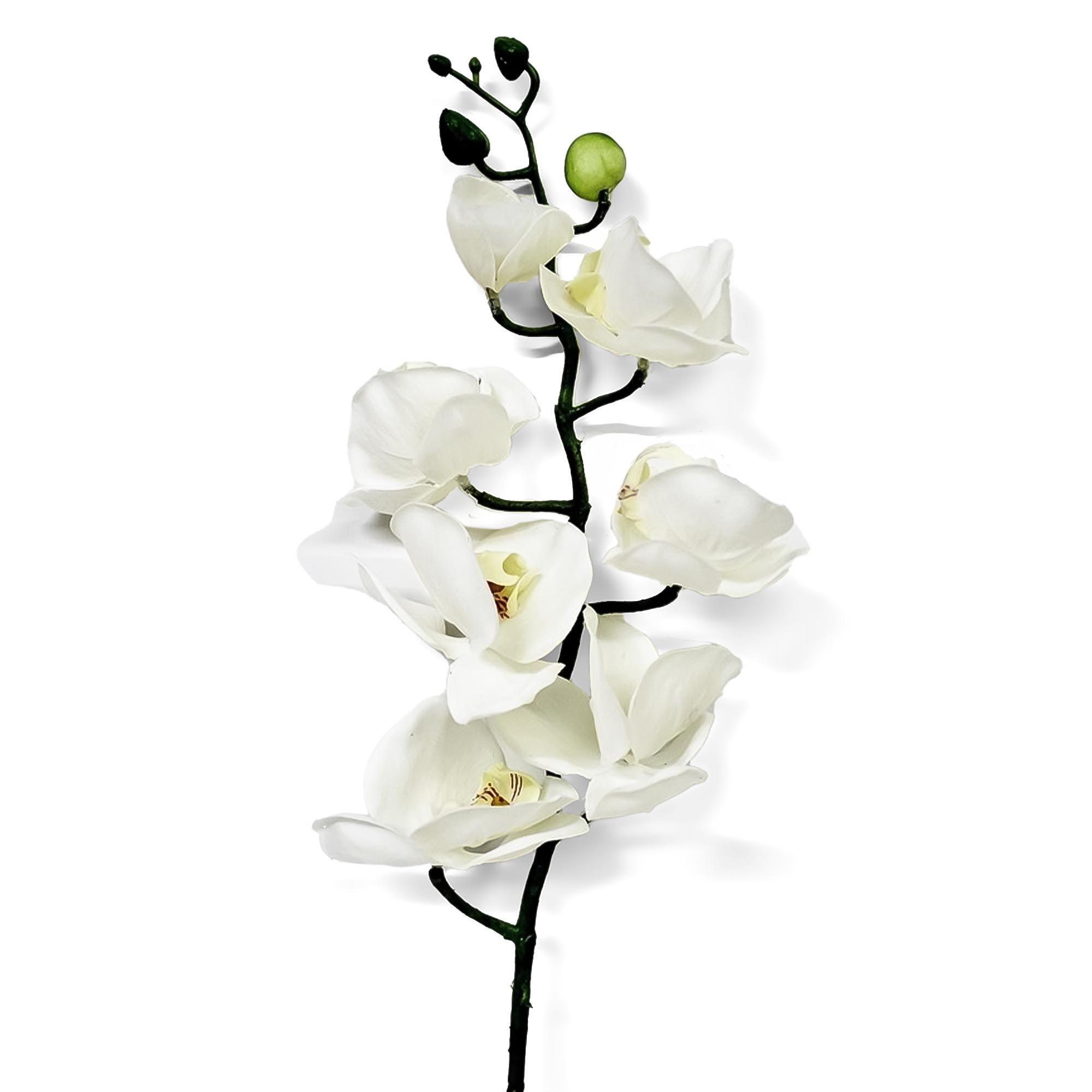 Орхидея фаленопсис Конэко-О 58321 76 см