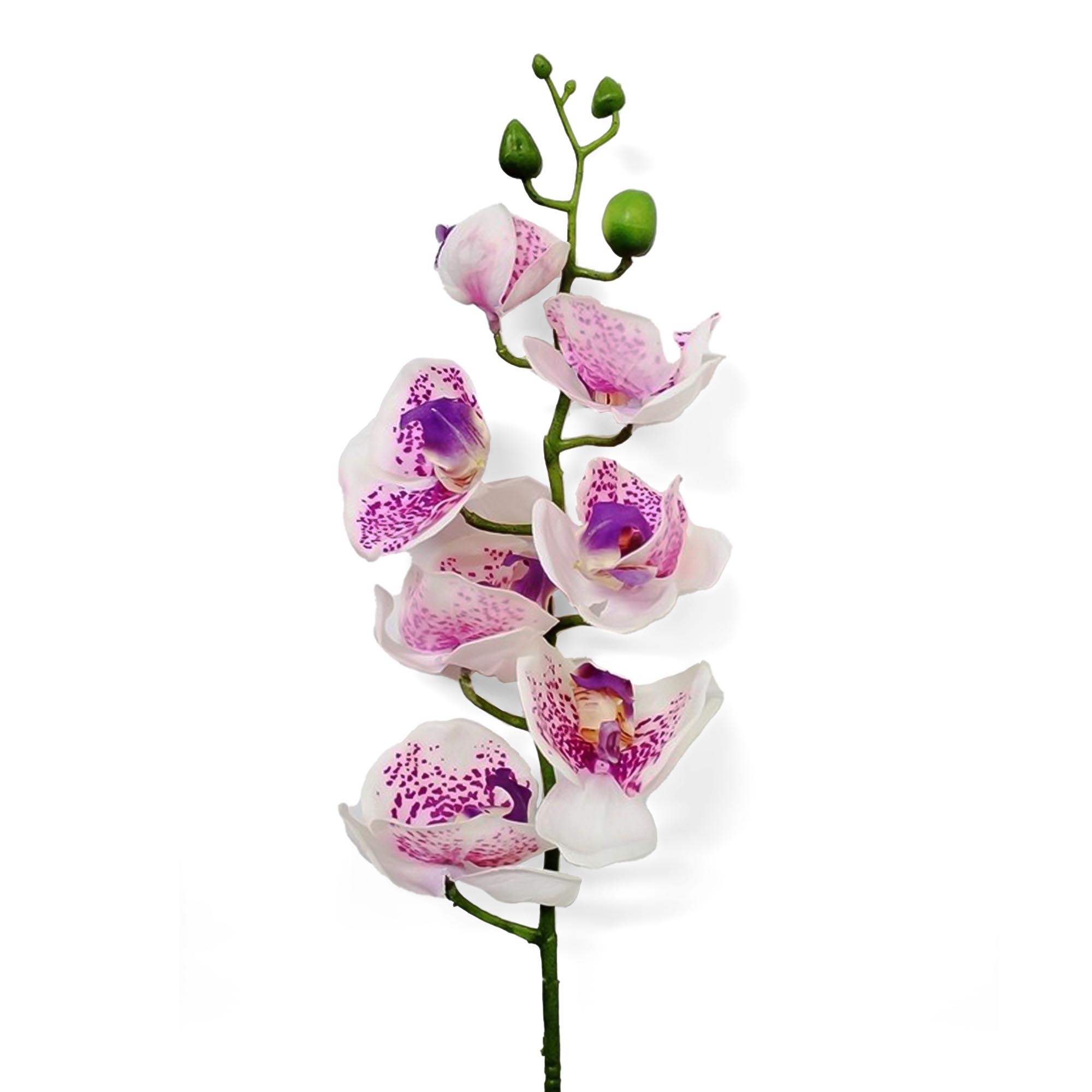 Орхидея фаленопсис Конэко-О 59221 76 см