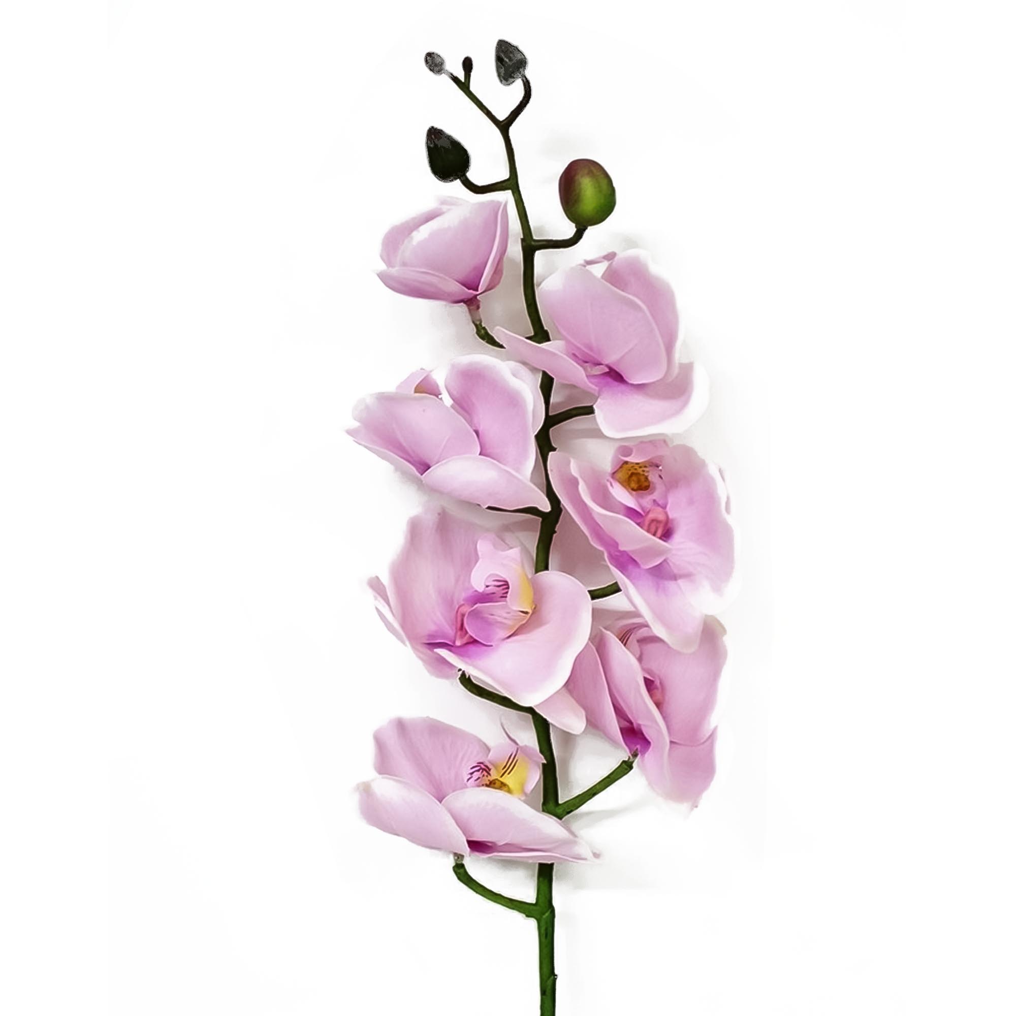 Орхидея фаленопсис Конэко-О 62521 76 см
