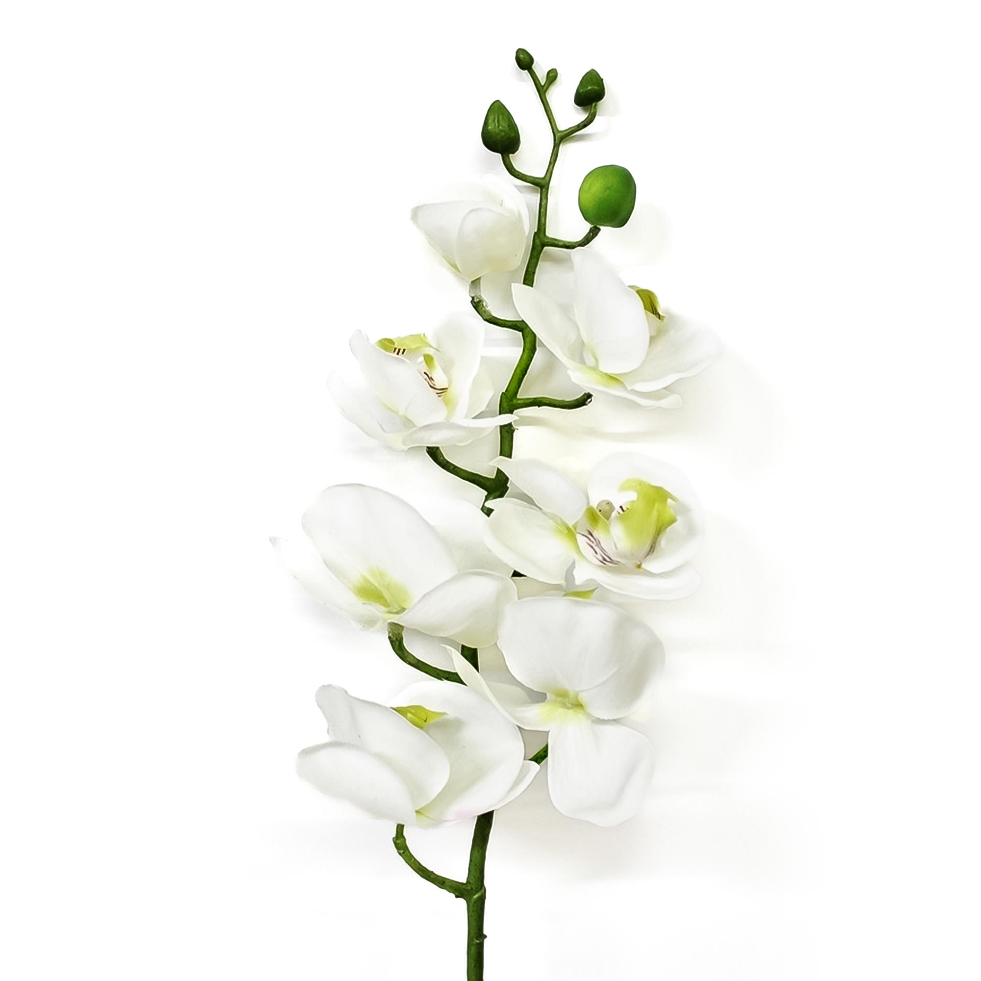 Орхидея фаленопсис Конэко-О 63121 76 см