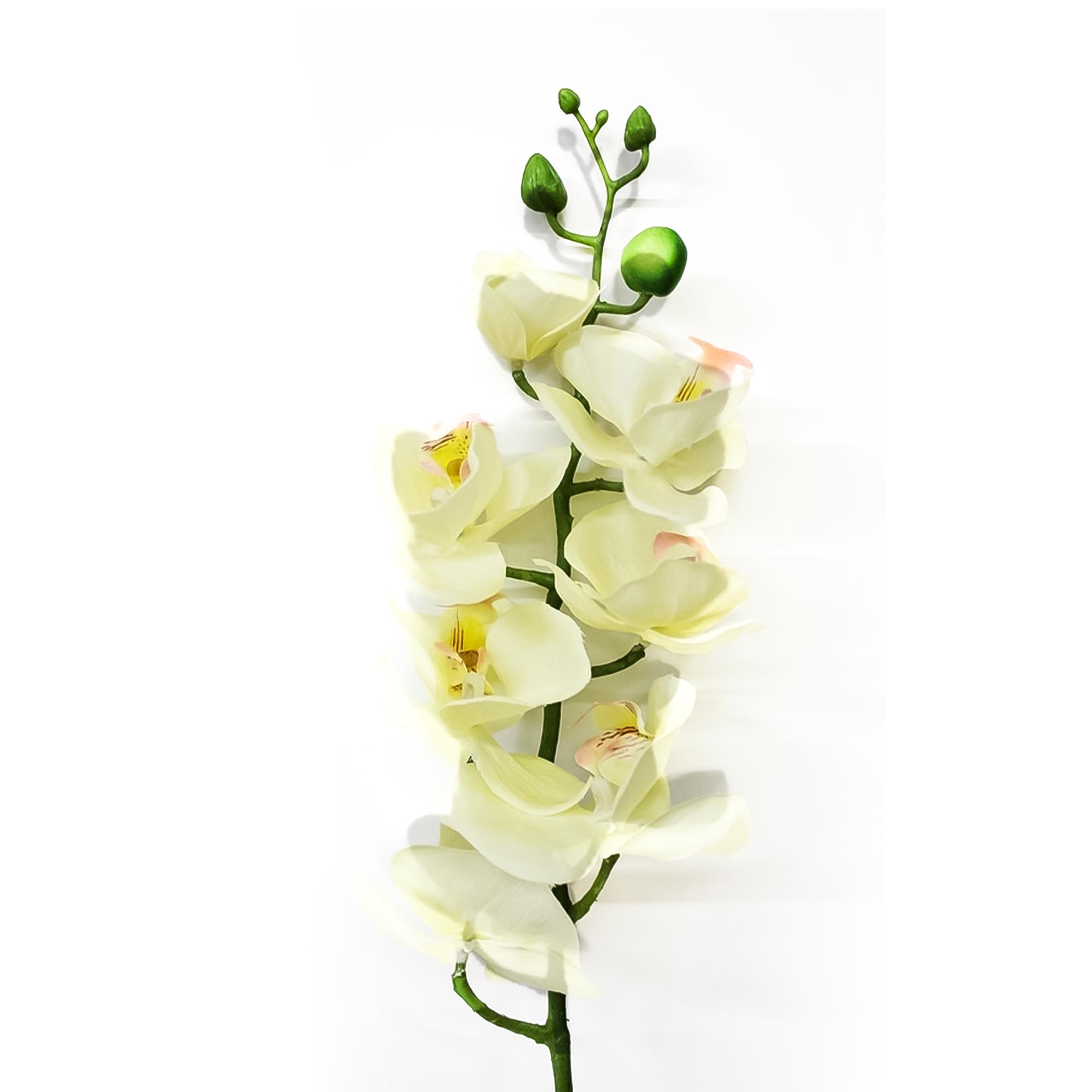 Орхидея фаленопсис Конэко-О 63521 76 см