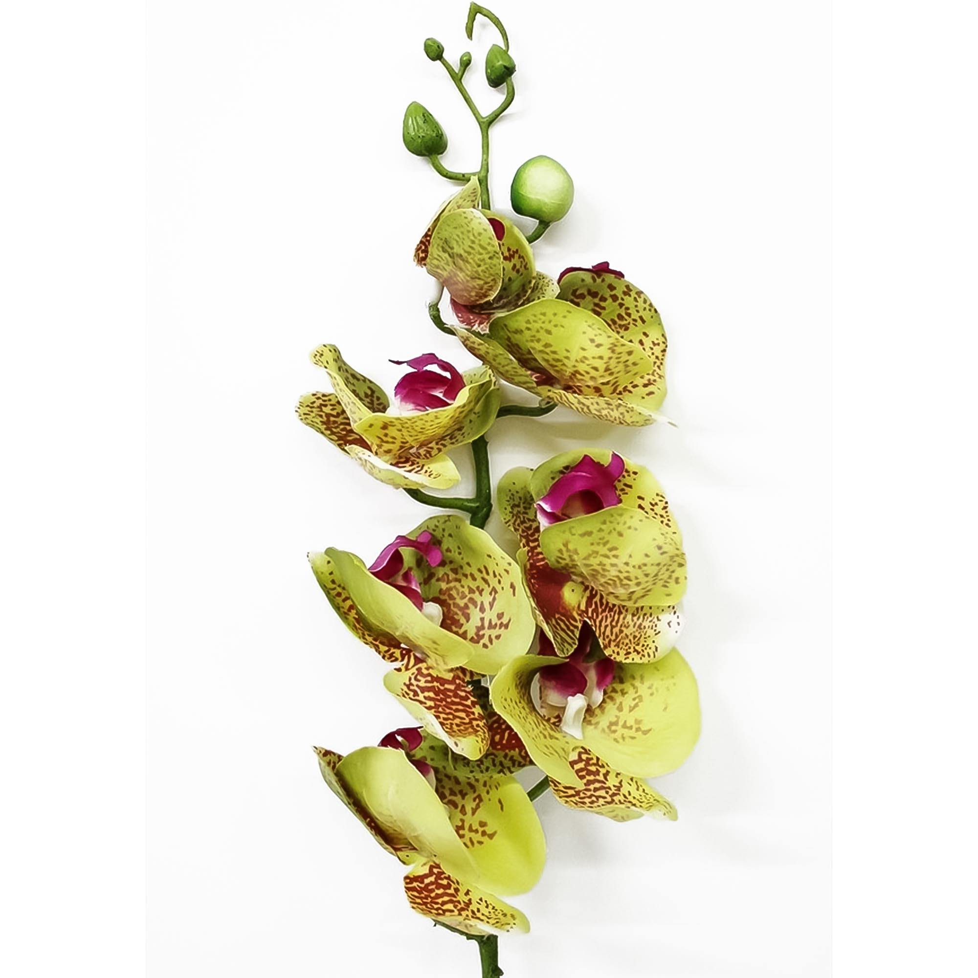 Орхидея фаленопсис Конэко-О 64521 76 см