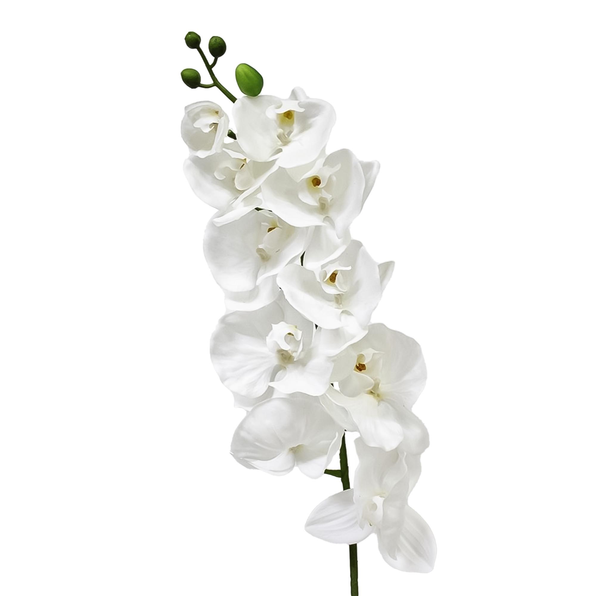 Орхидея фаленопсис Конэко-О 65721 102 см