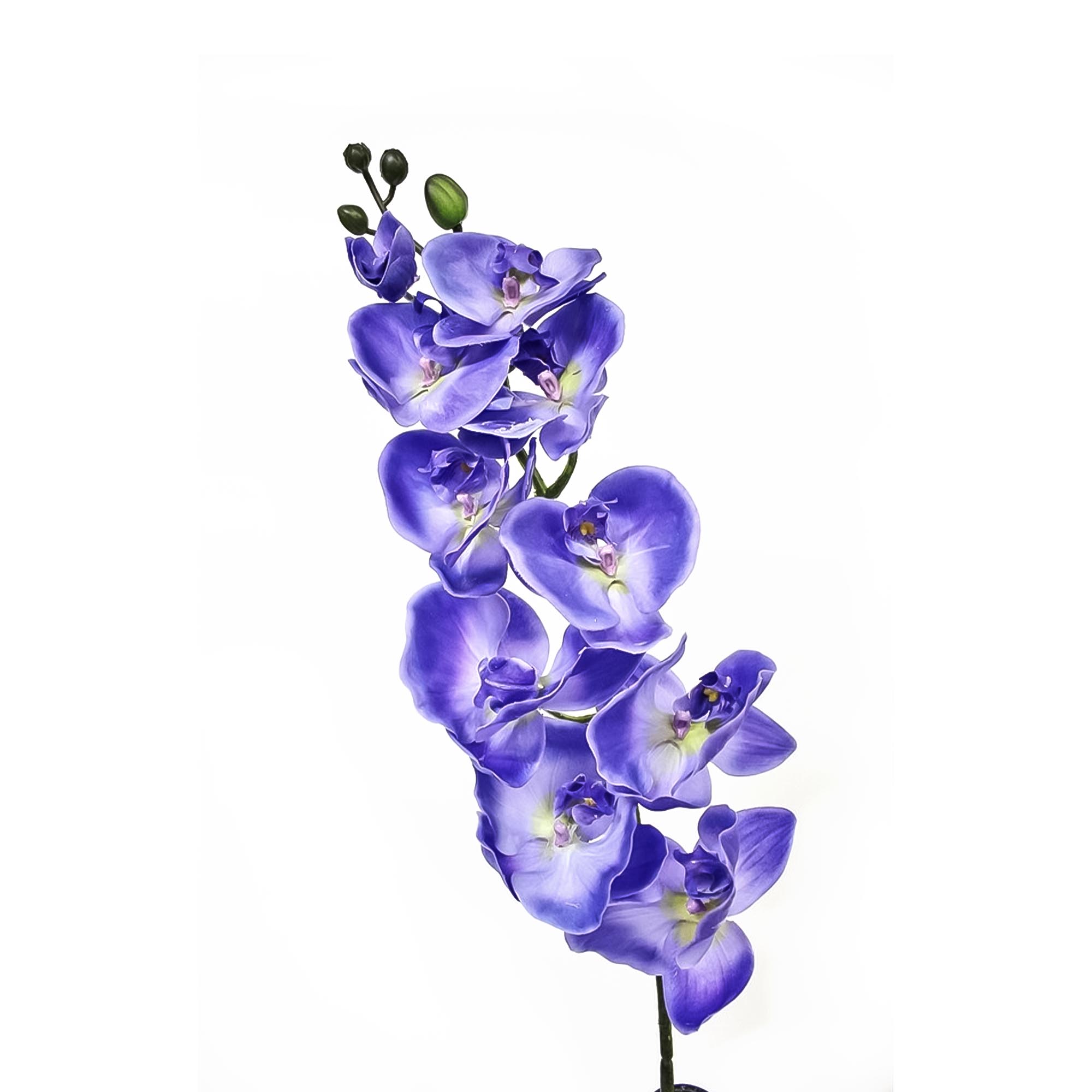 Орхидея фаленопсис Конэко-О 67621 102 см