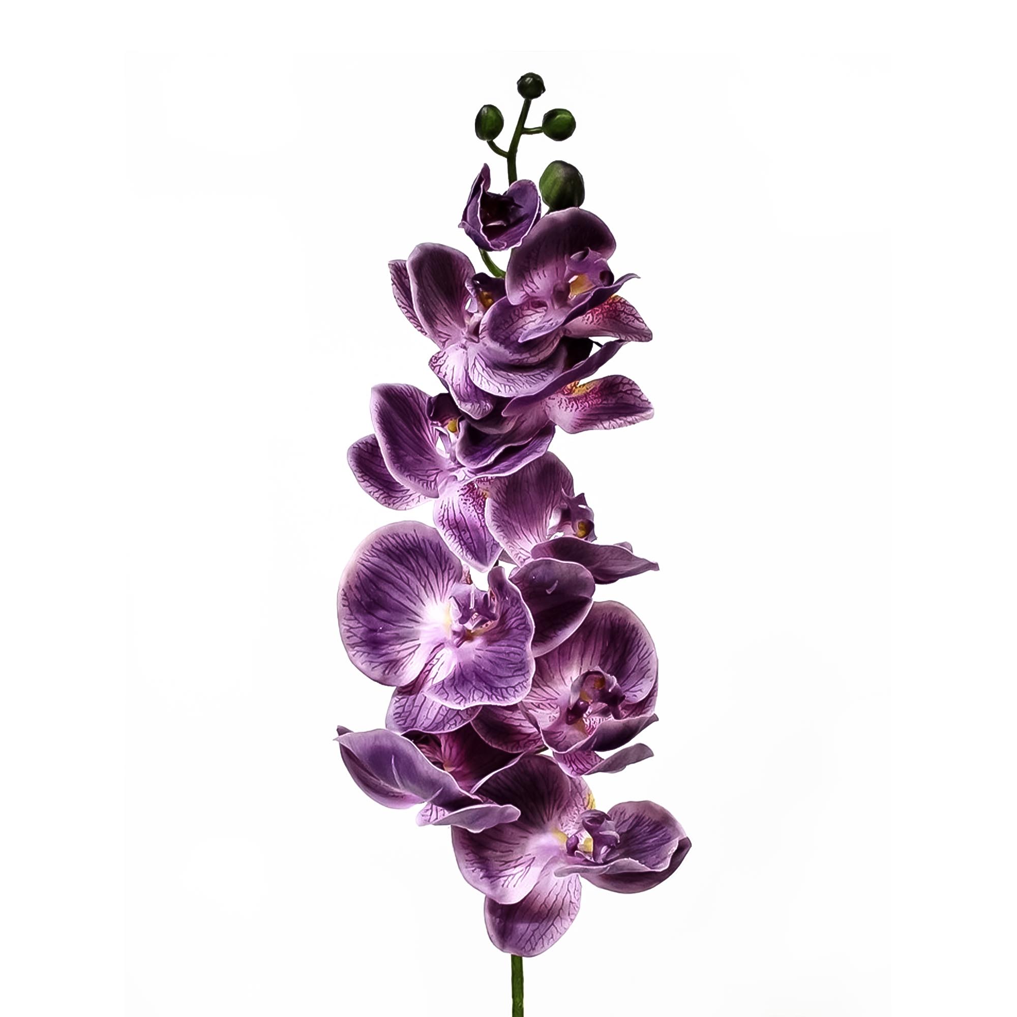 Орхидея фаленопсис Конэко-О 68021 102 см