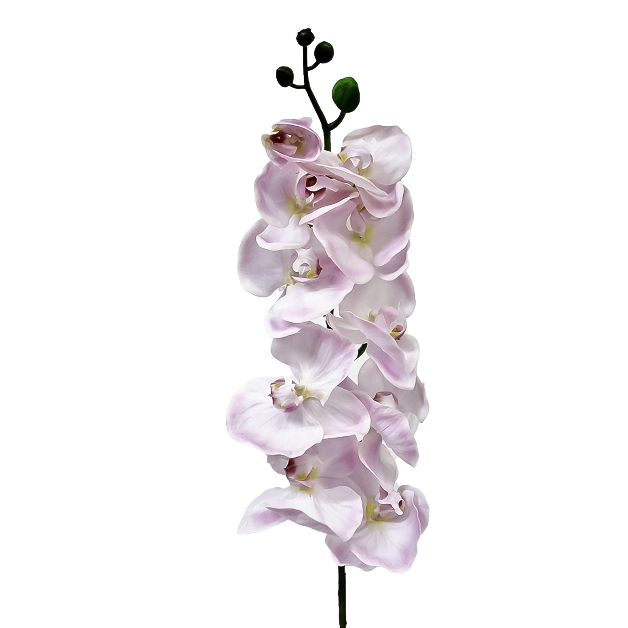 Орхидея фаленопсис Конэко-О 70821 102 см