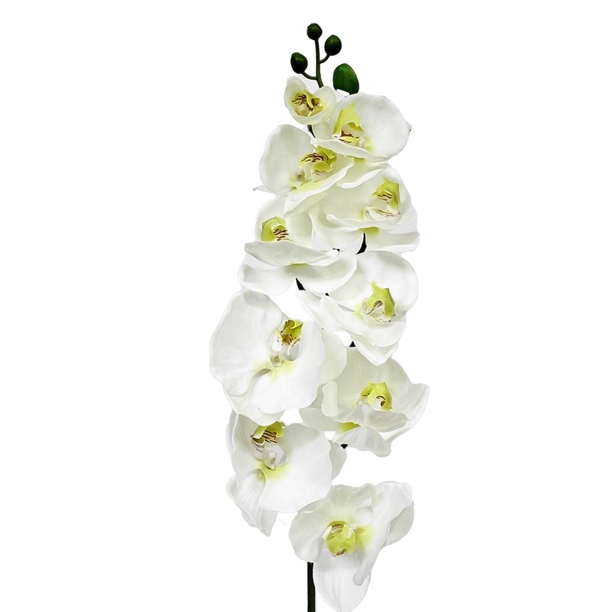 Орхидея фаленопсис Конэко-О 71721 102 см
