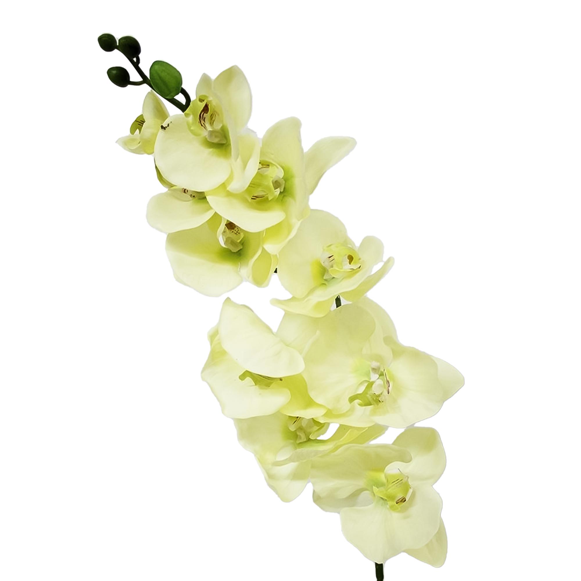 Орхидея фаленопсис Конэко-О 72521 102 см