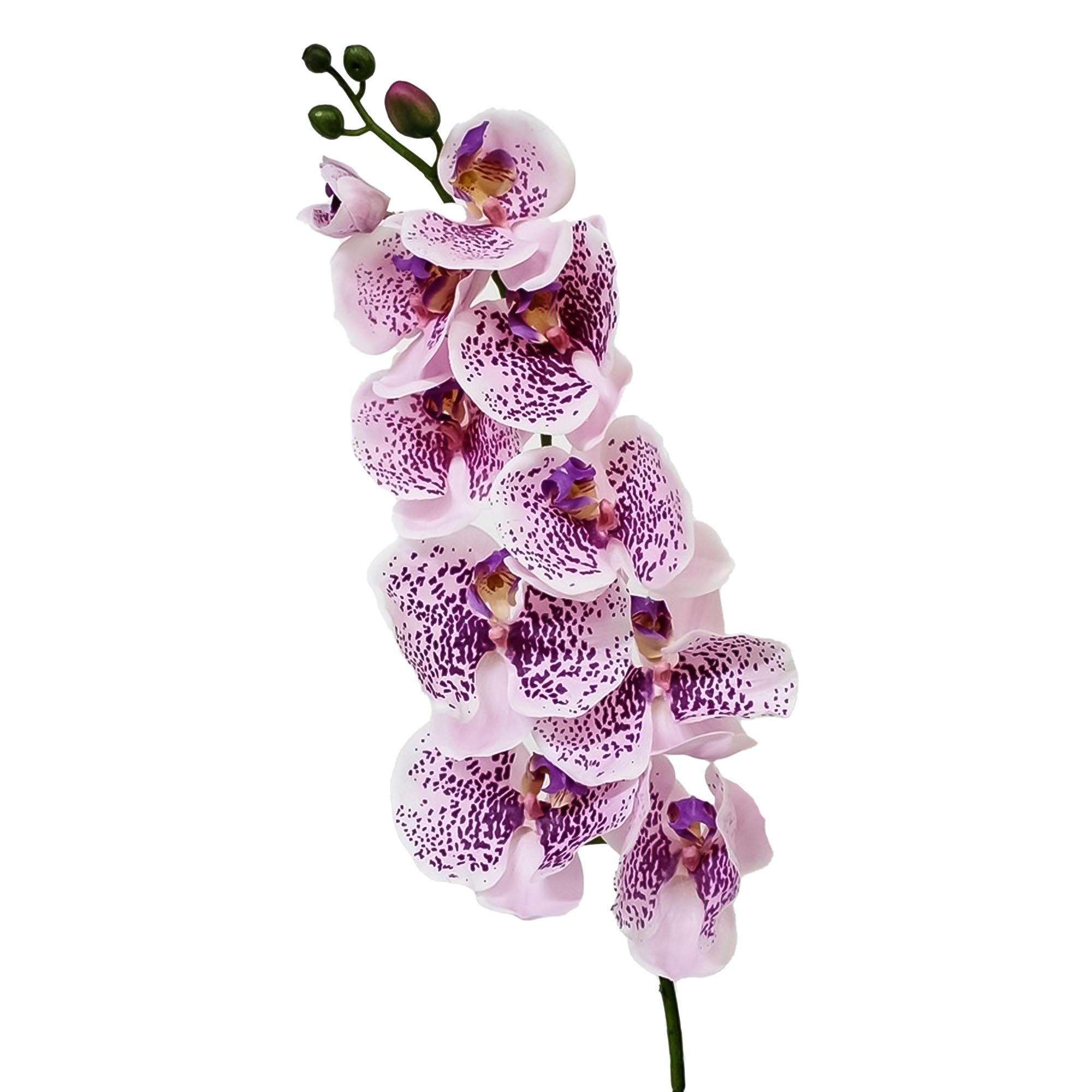 Орхидея фаленопсис Конэко-О 72721 102 см