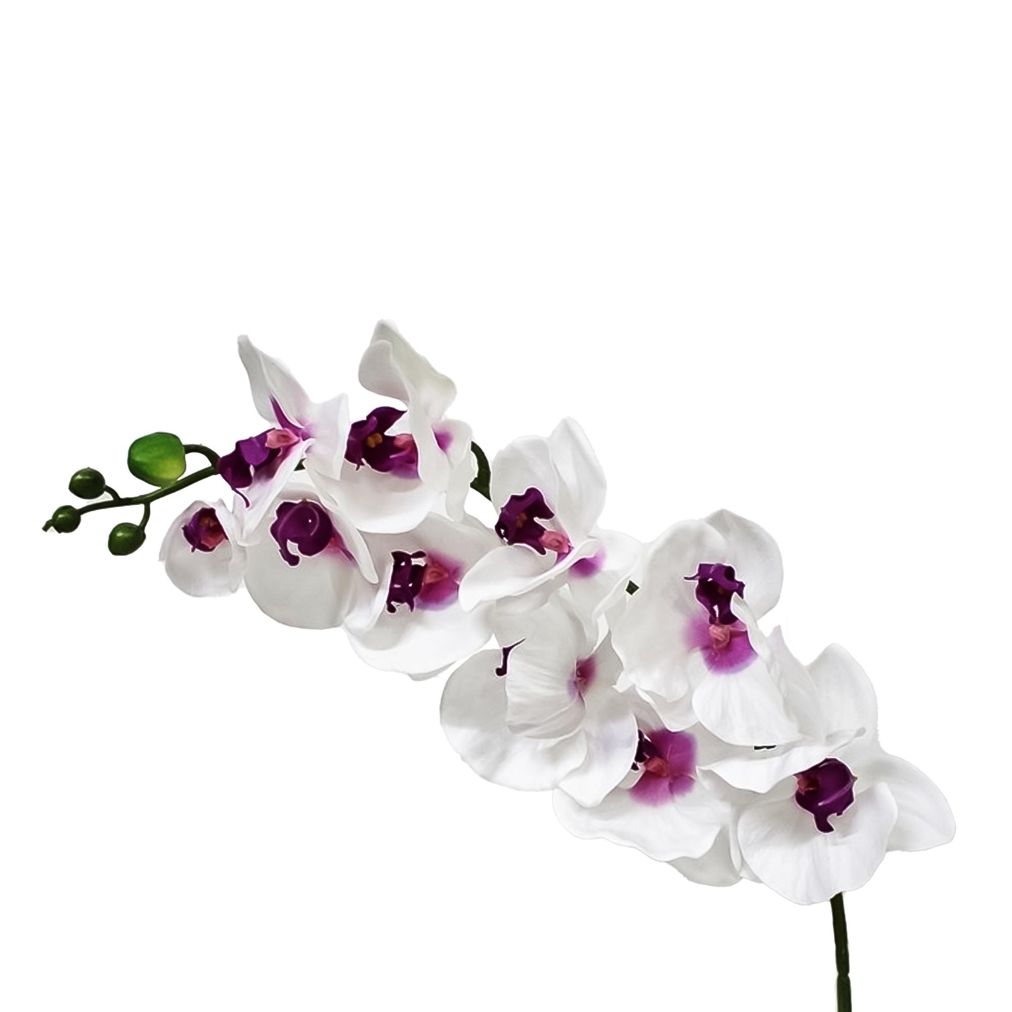 Орхидея фаленопсис Конэко-О 73921 102 см