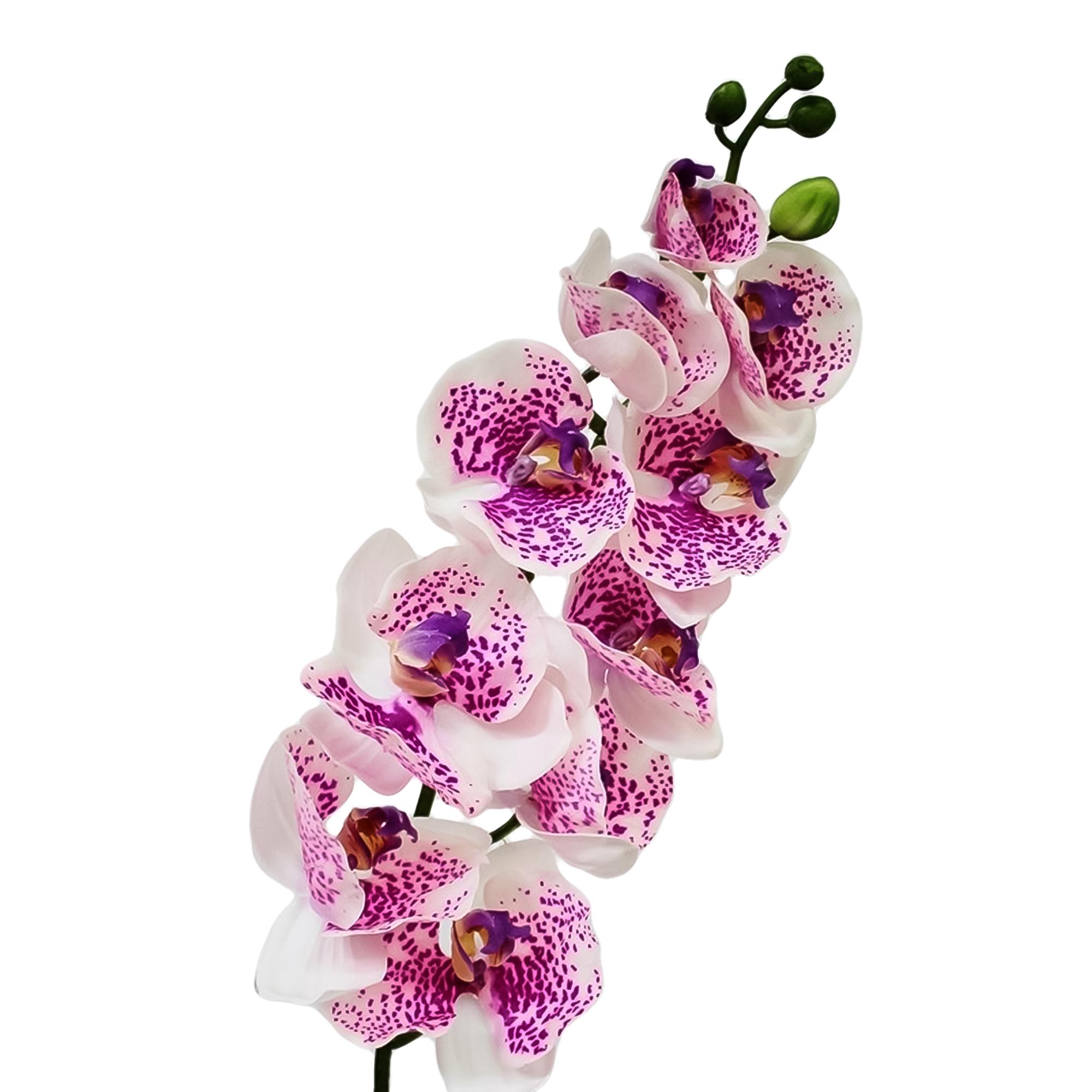 Орхидея фаленопсис Конэко-О 74621 102 см