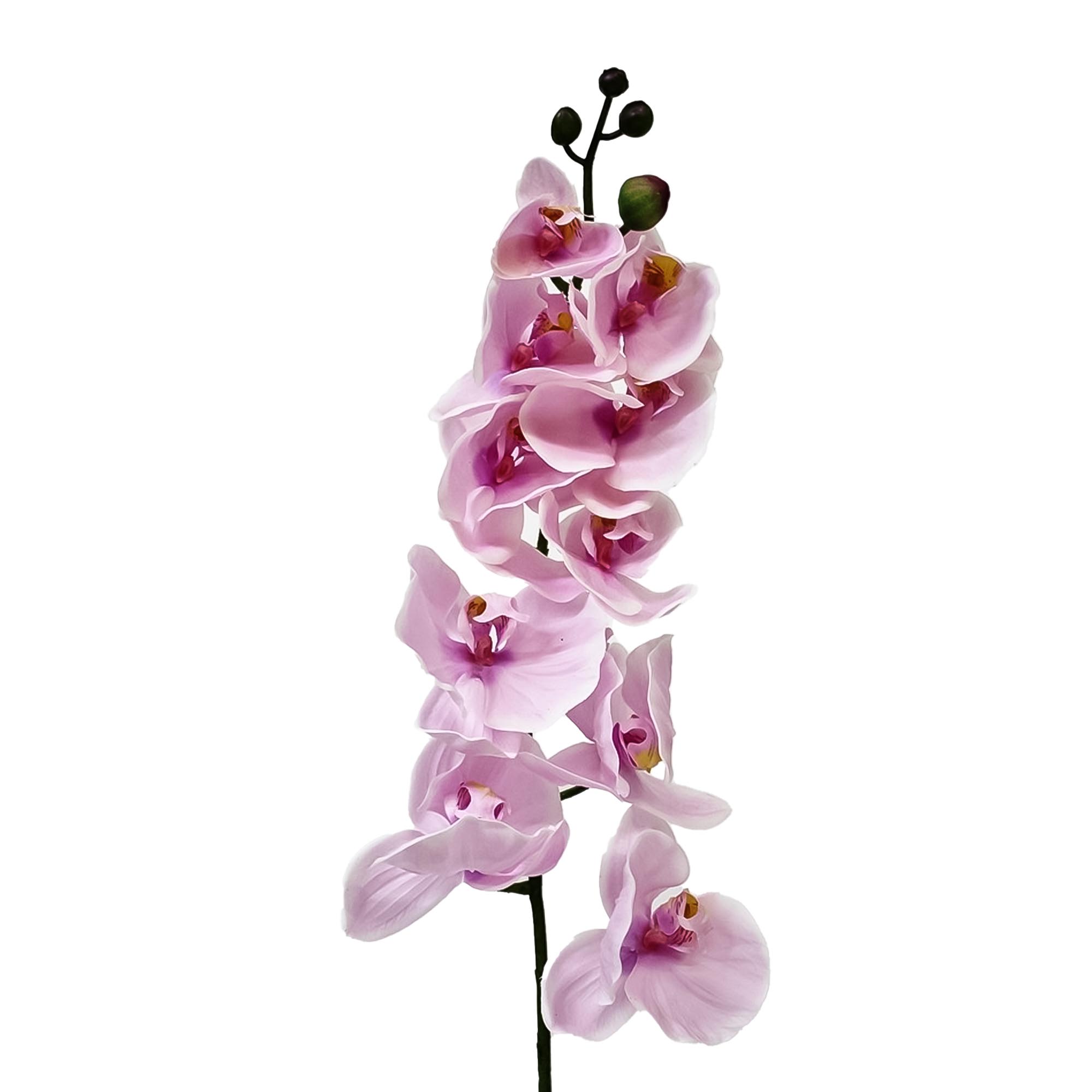 Орхидея фаленопсис Конэко-О 76121 102 см