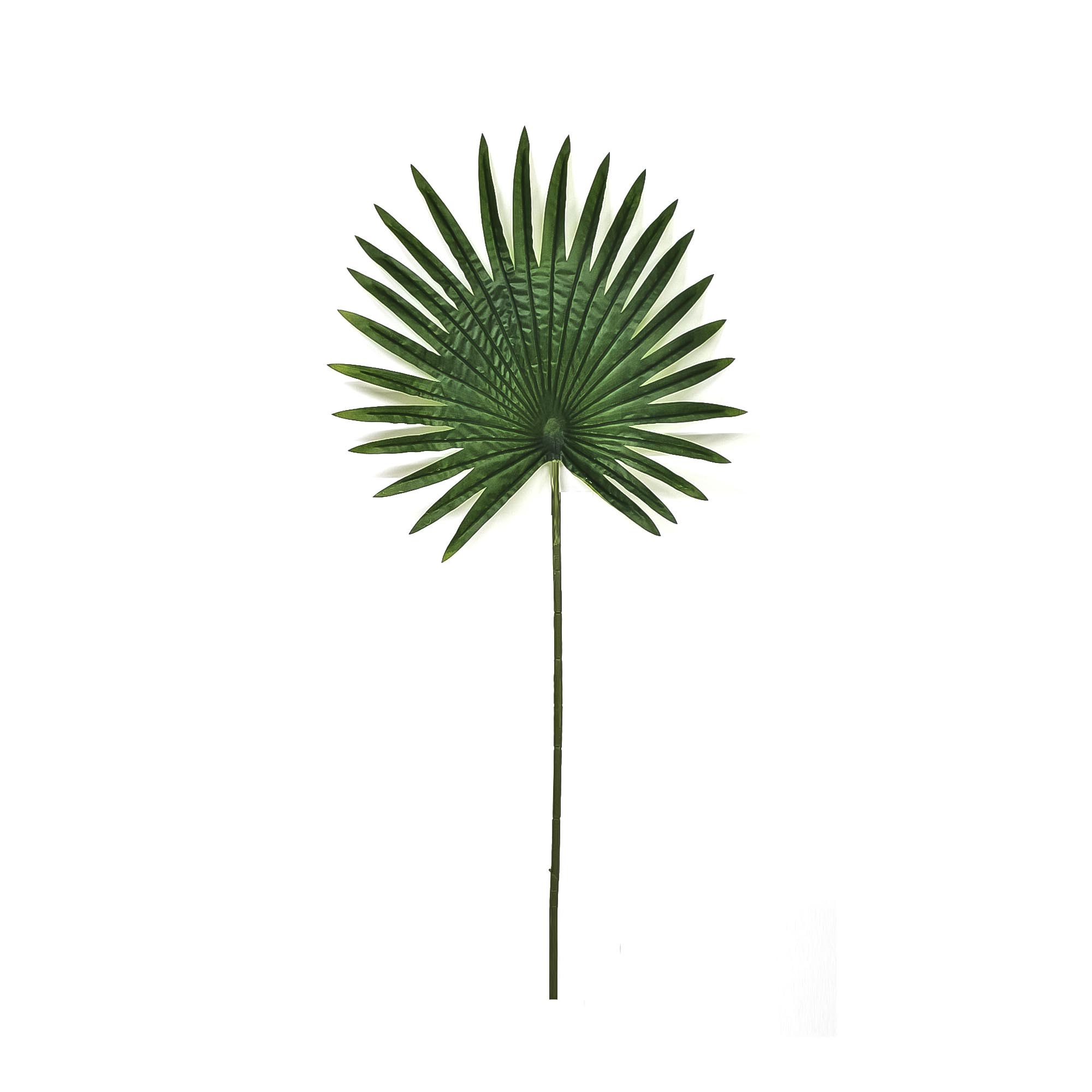 Веерный лист пальмы Конэко-О 90 см тушь веерный объем