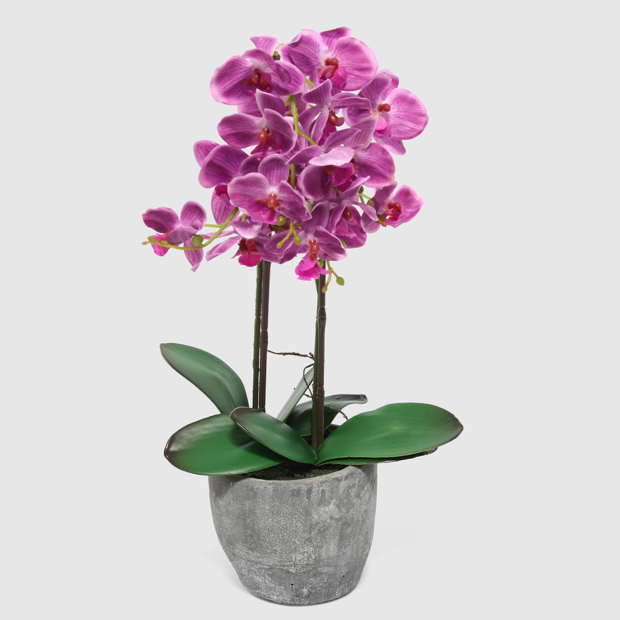 Цветок искусственный Fuzhou Light в горшке orchid пурпурная 54 см цветок искусственный fuzhou light орхидея бело розовая в горшке 54 см