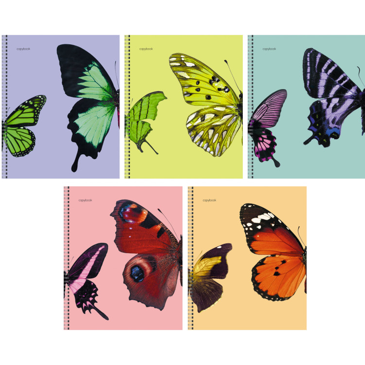 Тетрадь Канц-Эксмо Butterflies А5 48 л клетка в ассортименте книга учета 96 листов обложка бумвинил блок офсет клетка бордовый
