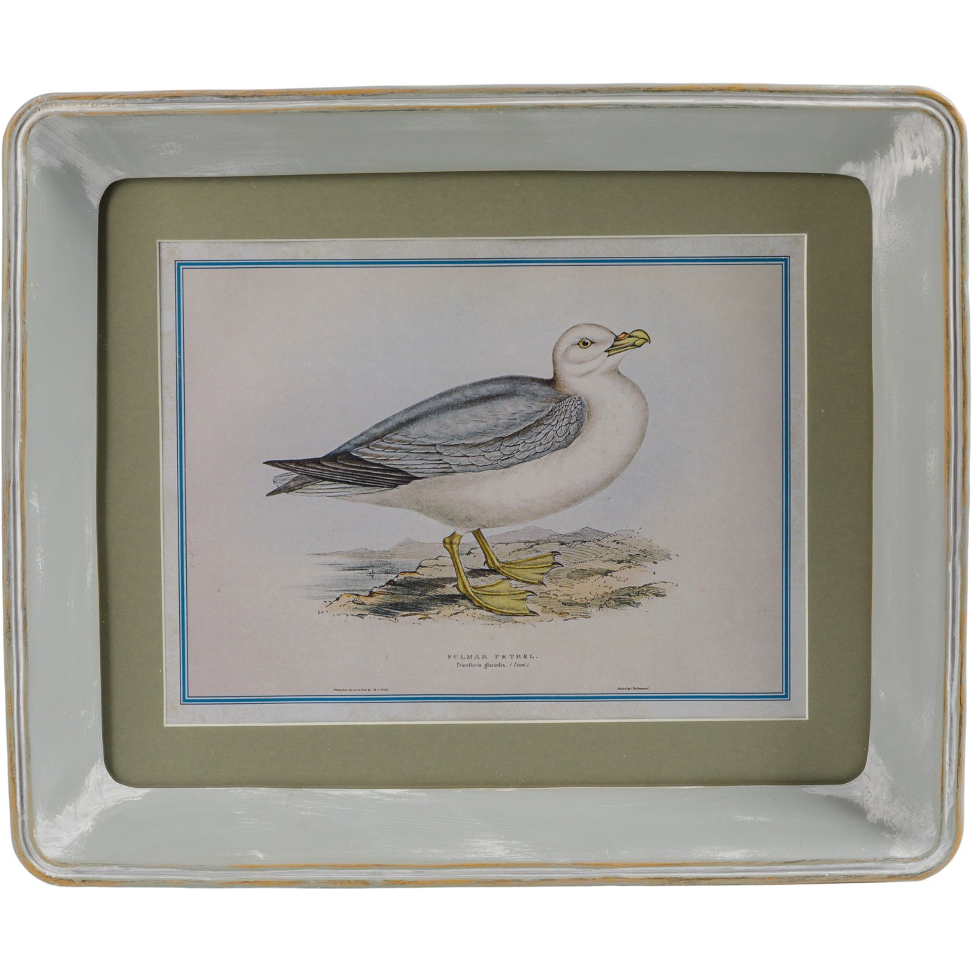 Картина в раме Glasar морская птица 25х3х30 см, цвет мультиколор - фото 1