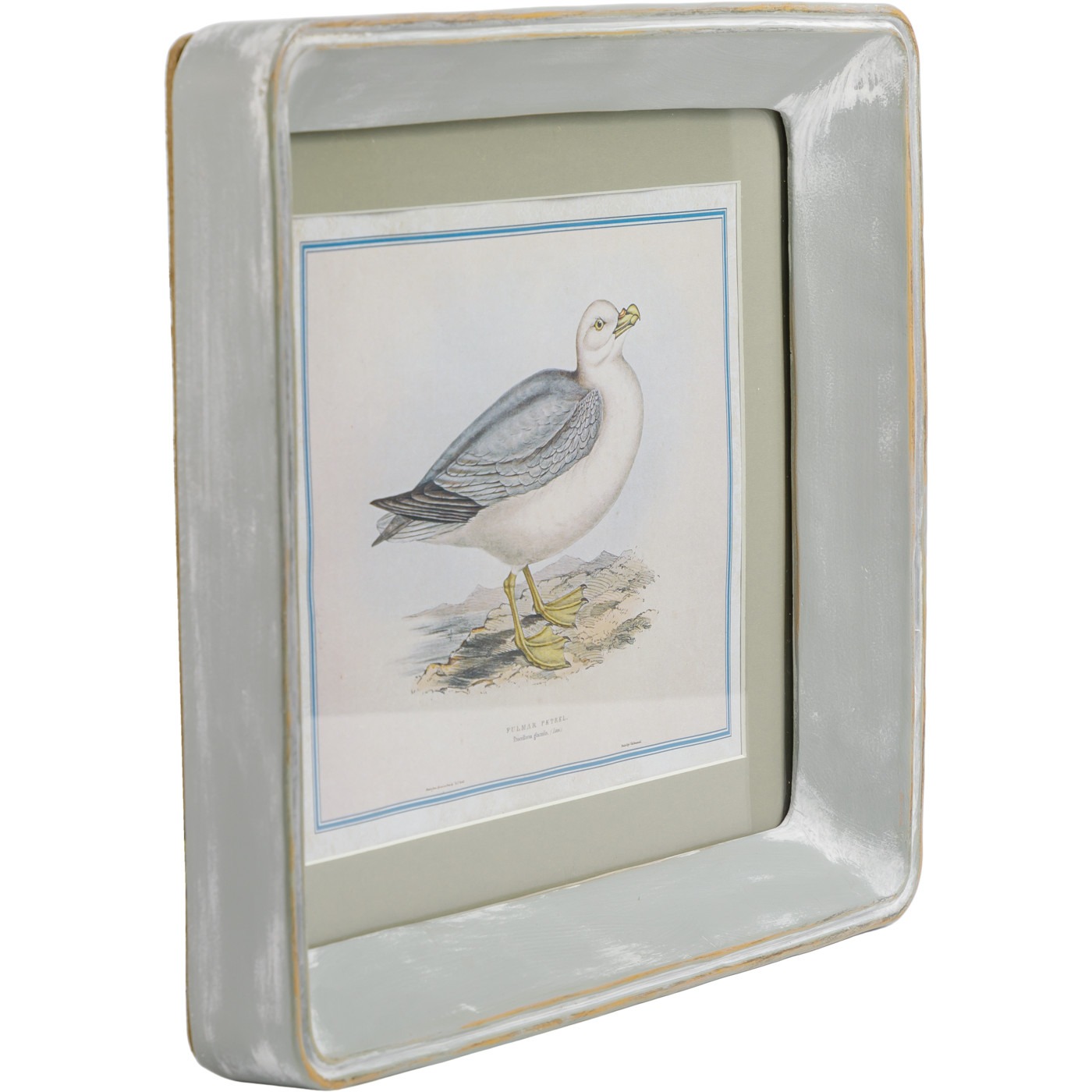 Картина в раме Glasar морская птица 25х3х30 см, цвет мультиколор - фото 2